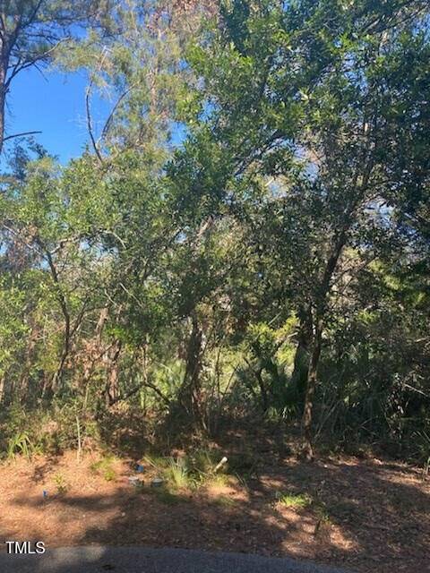 Bald Head Island, NC 28461,9 Laurel Cherry Court