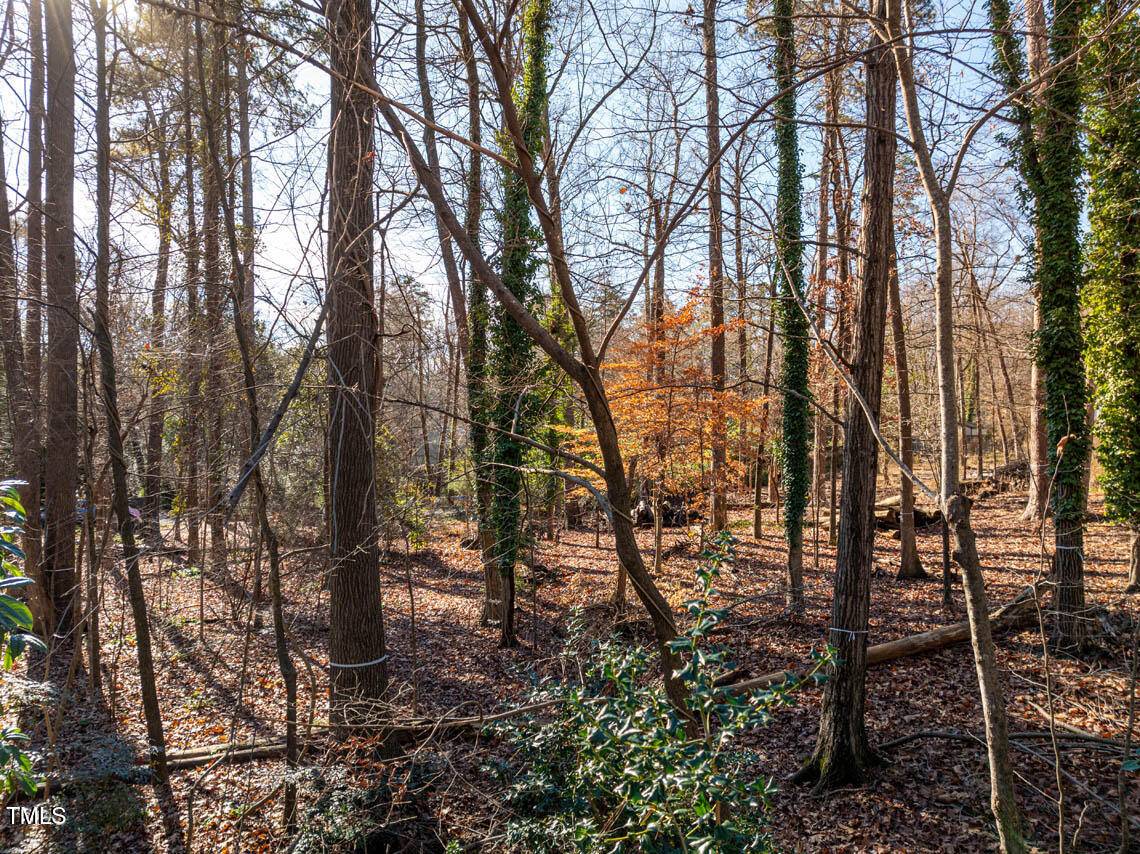 Chapel Hill, NC 27514,0 Burlage Circle