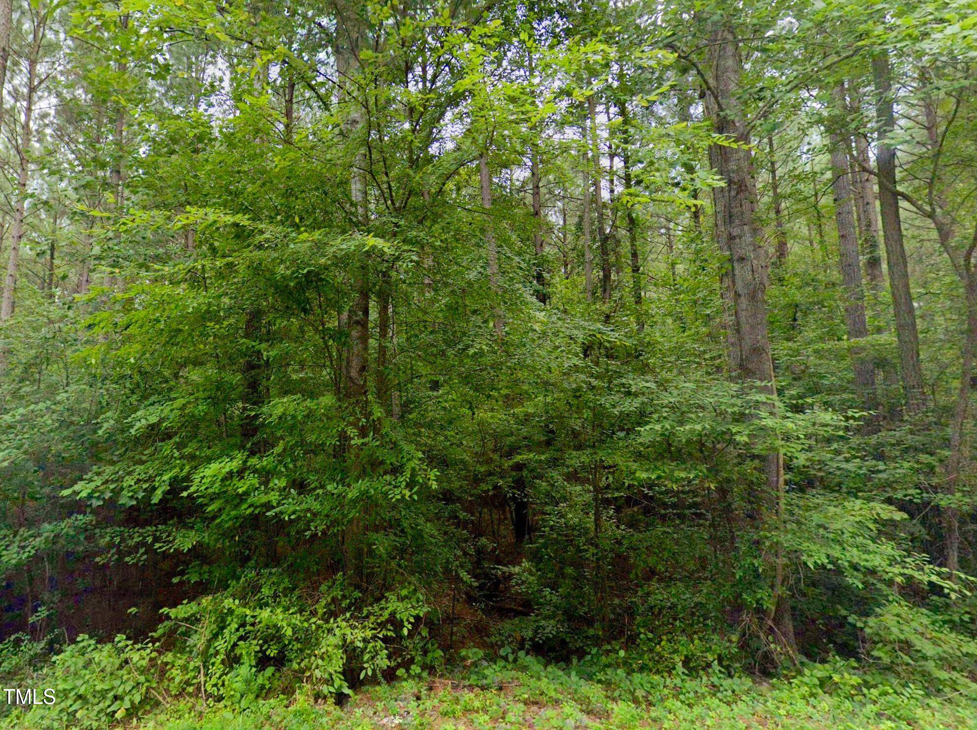 Littleton, NC 27850,Lot 13 Greenvalley Drive