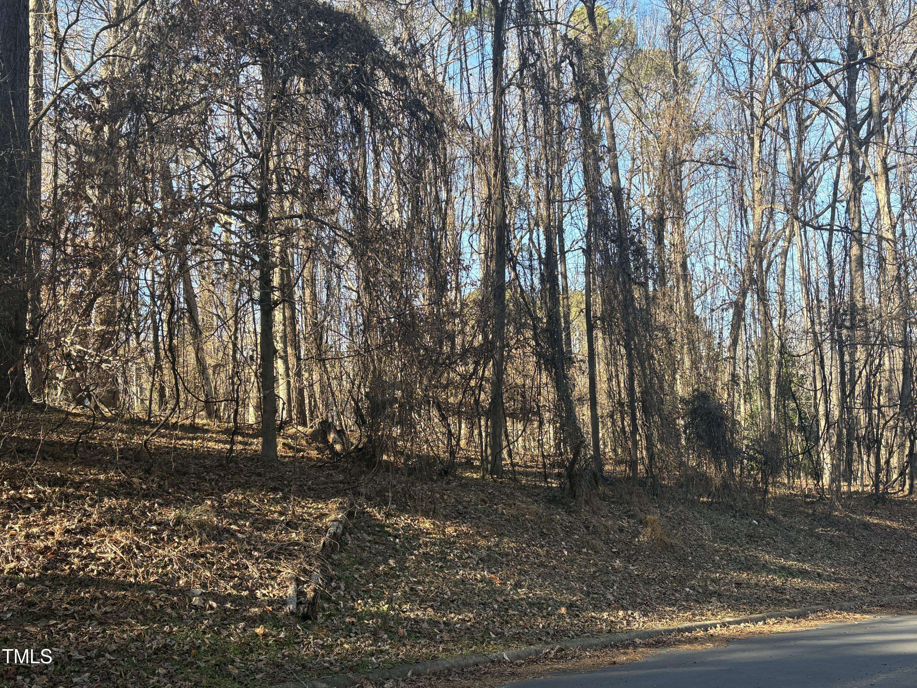 Clayton, NC 27520,01 Washington Street
