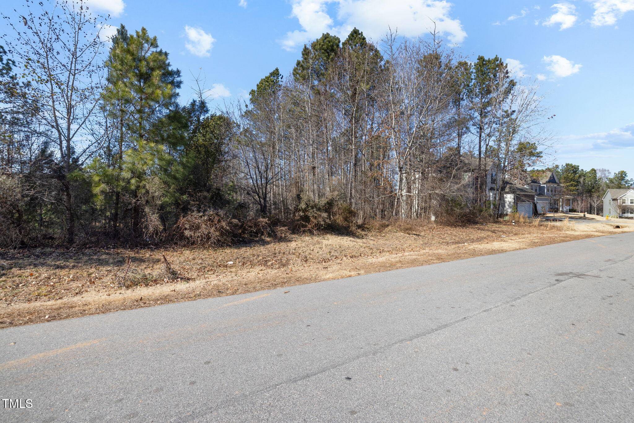 Franklinton, NC 27525,95 Point View Way