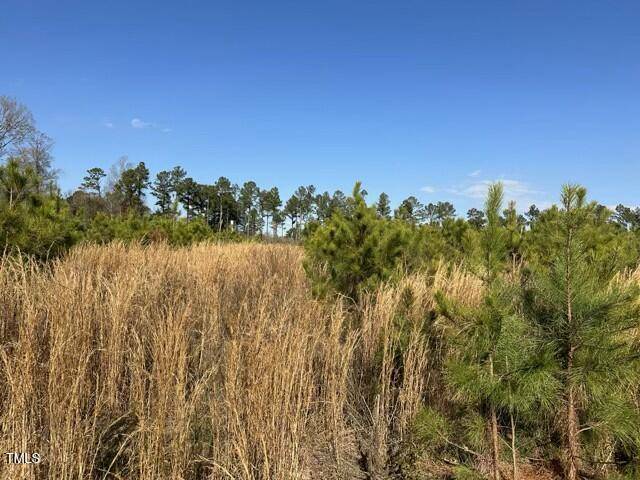 Spring Hope, NC 27882,Lot 13 Good Shepherd Trail