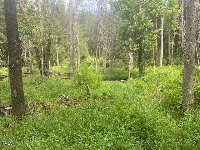 Pittsboro, NC 27312,0 Lothlorien Lane
