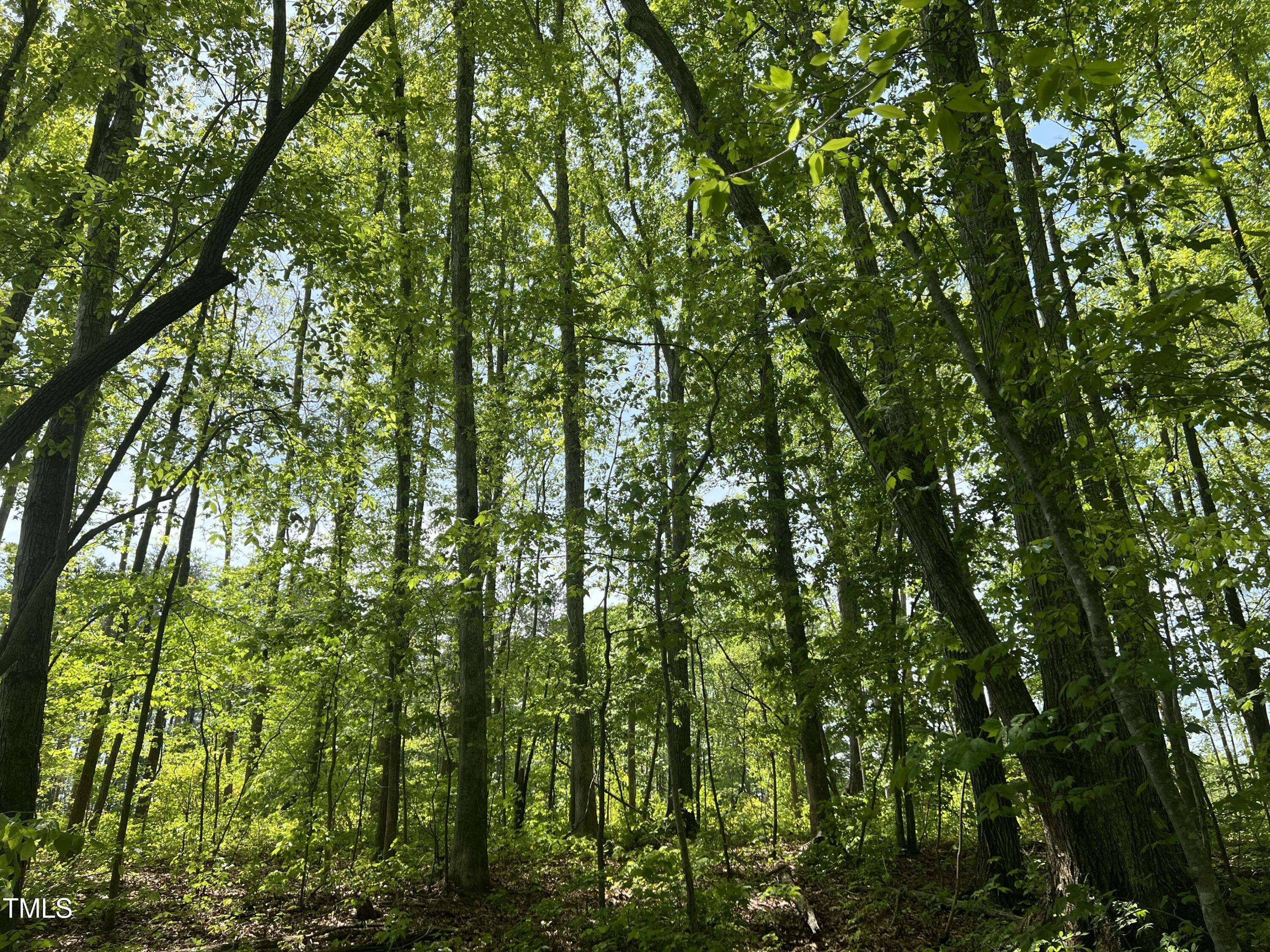 Roxboro, NC 27574,Lot 4 Loftis Loop
