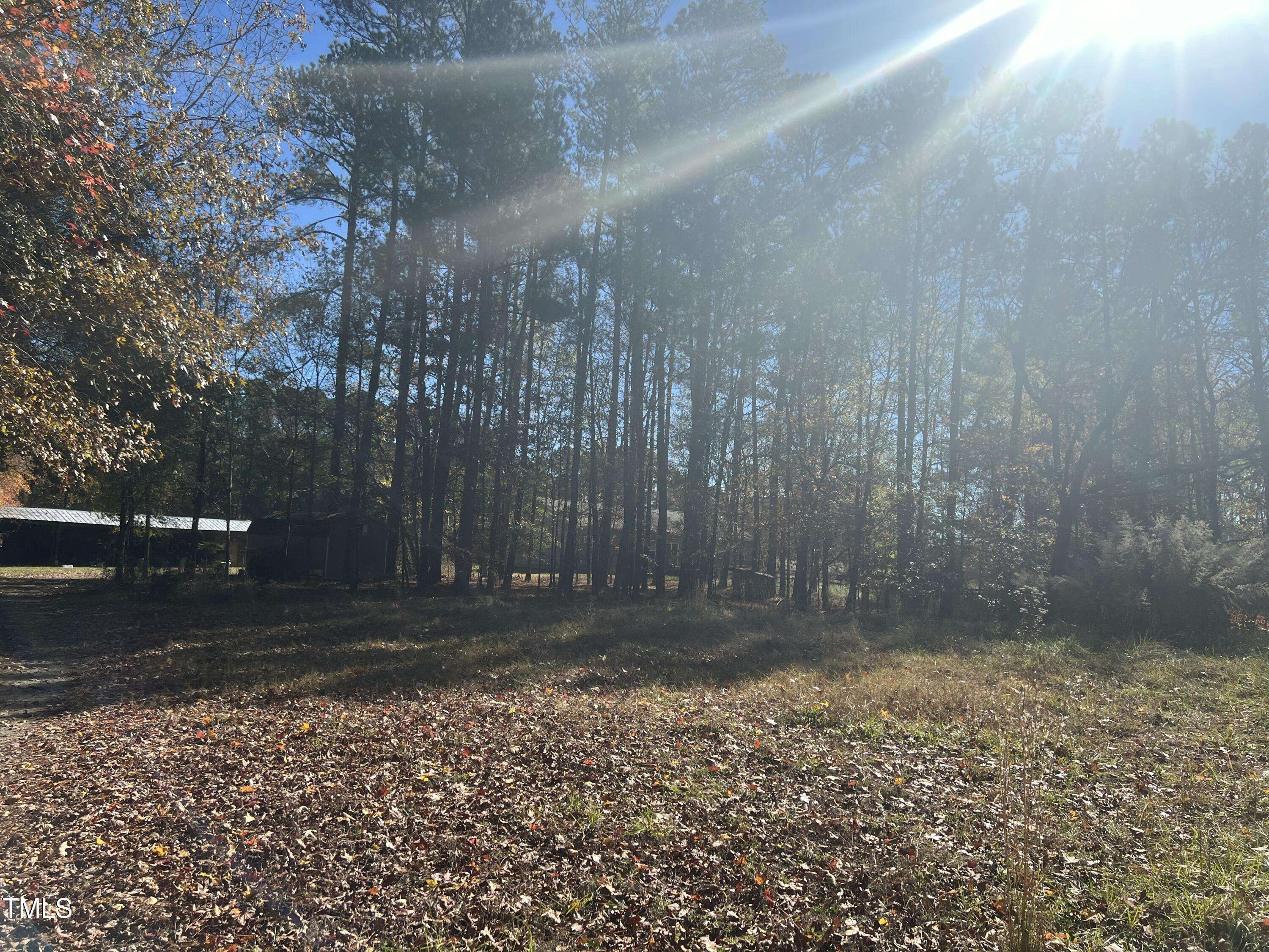 Apex, NC 27523,345 Rainforest Place