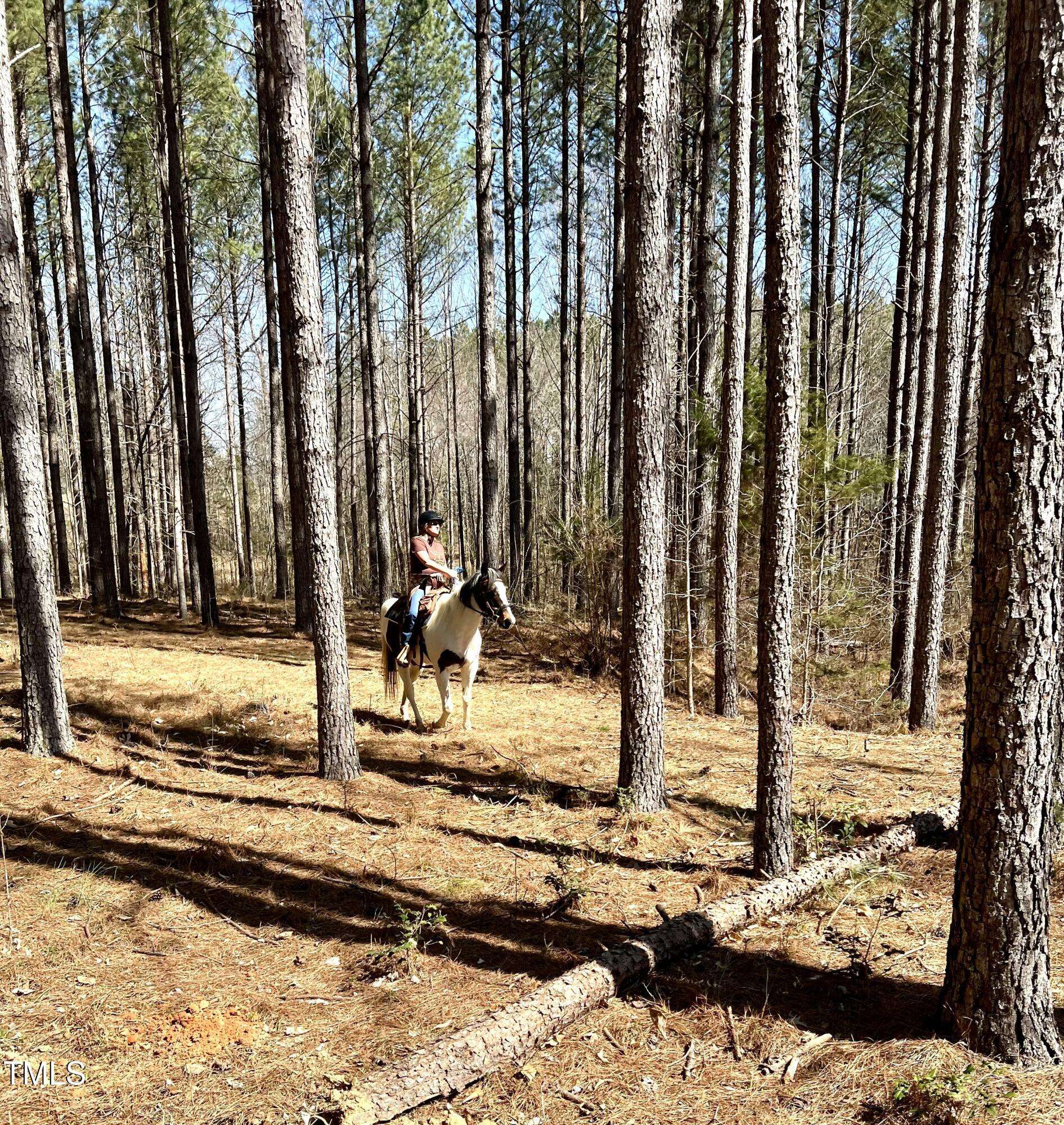 Mebane, NC 27302,000 Nicks Road