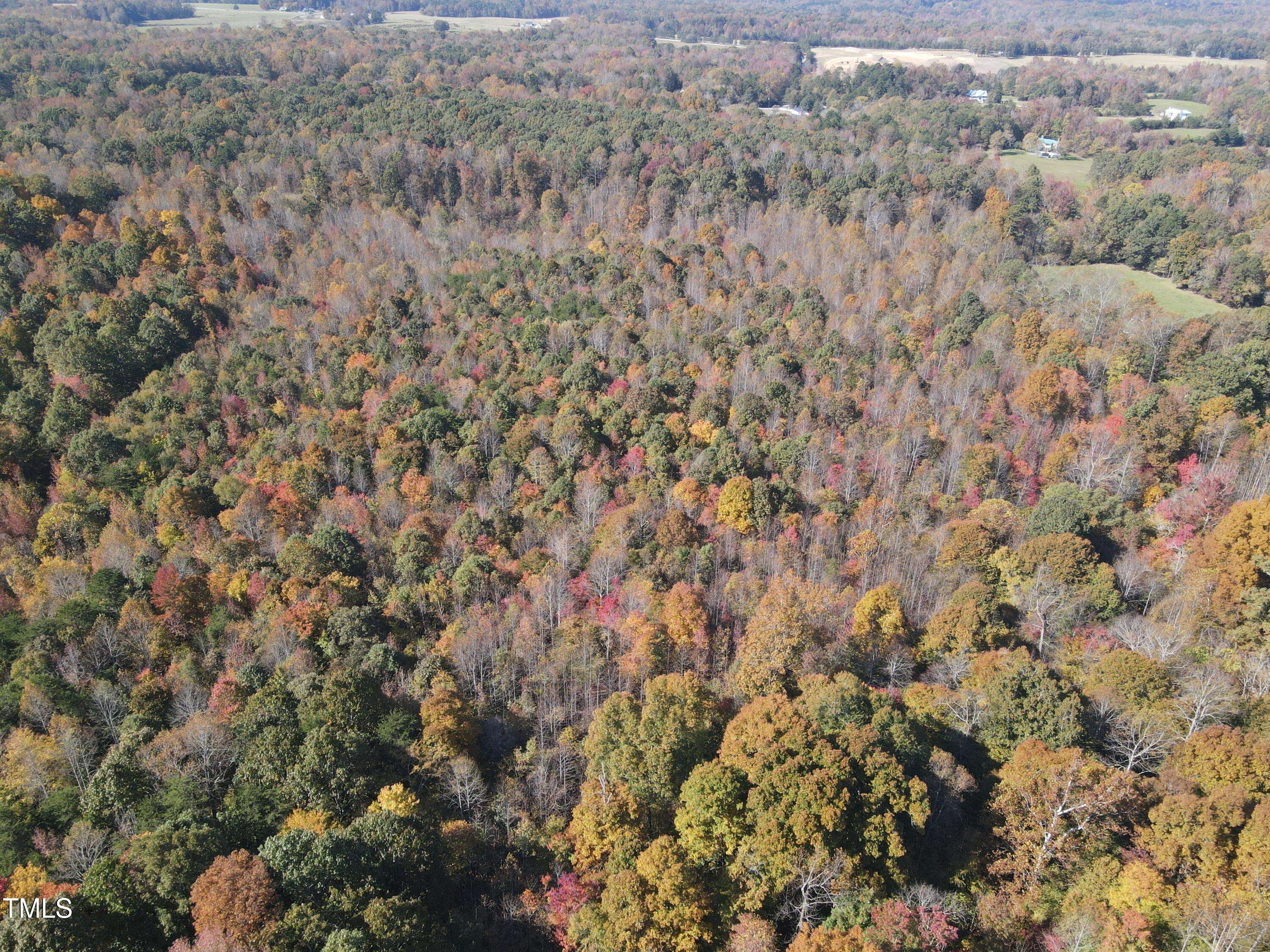 Hurdle Mills, NC 27541,0 Wheelers Church Road