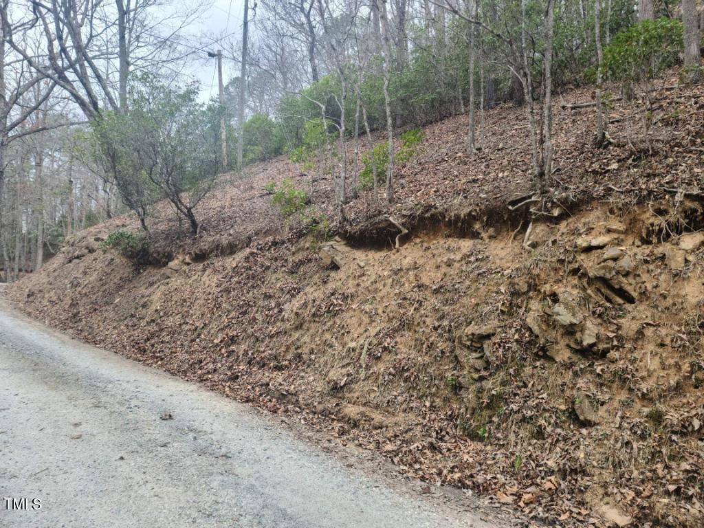 Bryson City, NC 28713,0 Bear Cove Circle