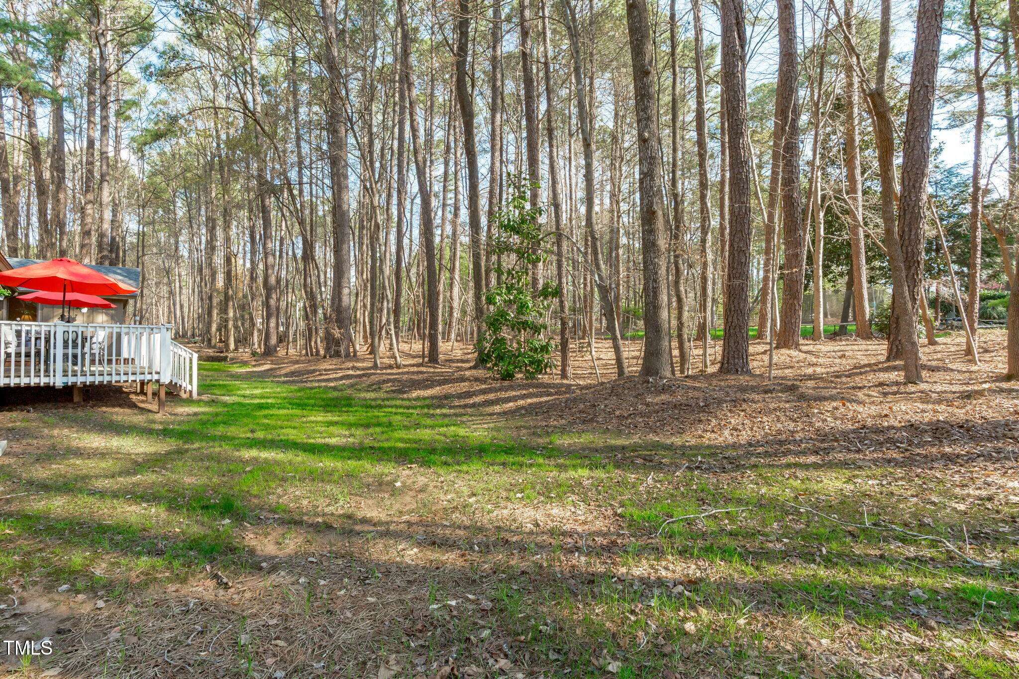 Raleigh, NC 27613,11808 Black Horse Run