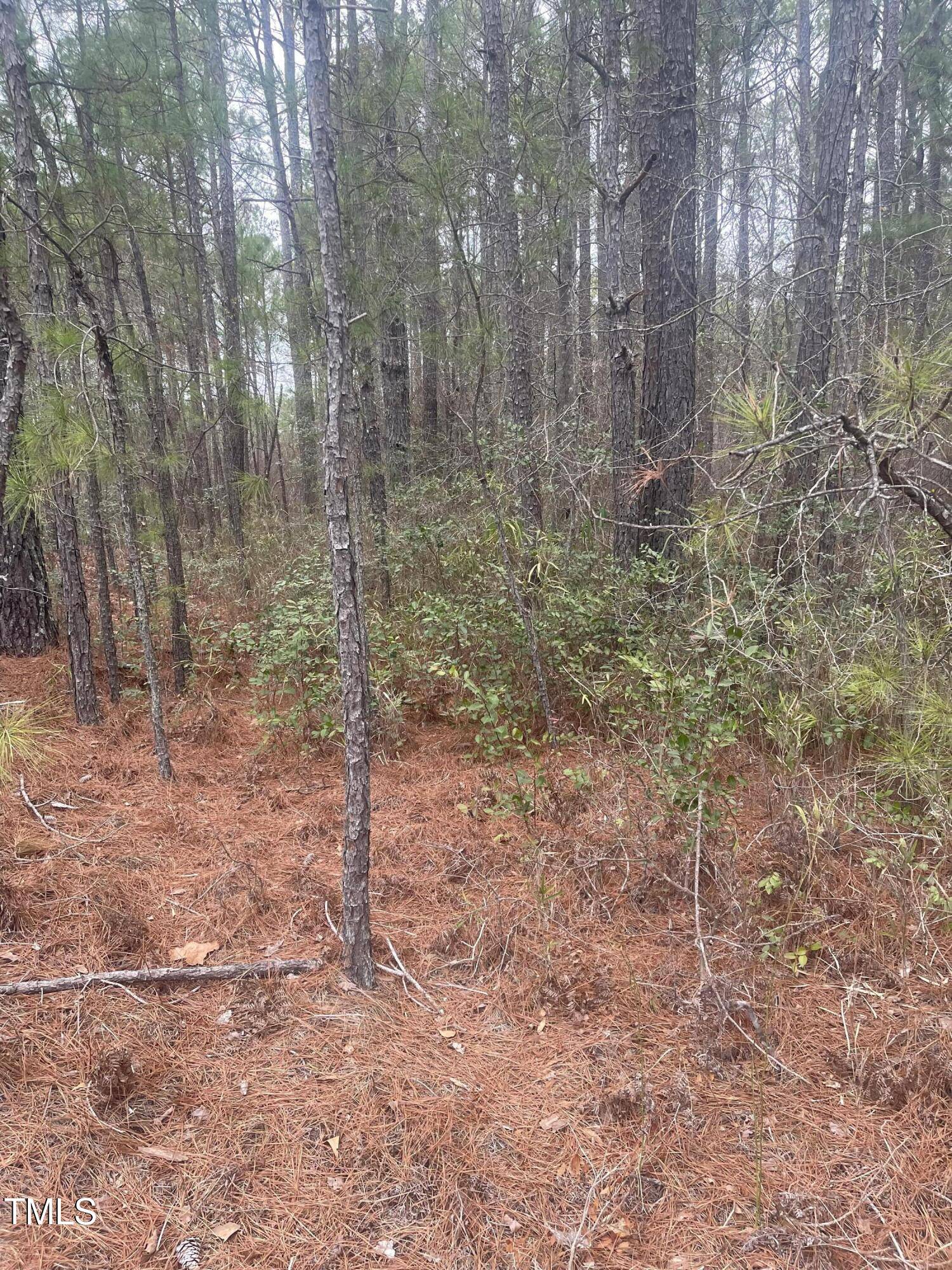 Sanford, NC 27332,0 Bumpy Lane
