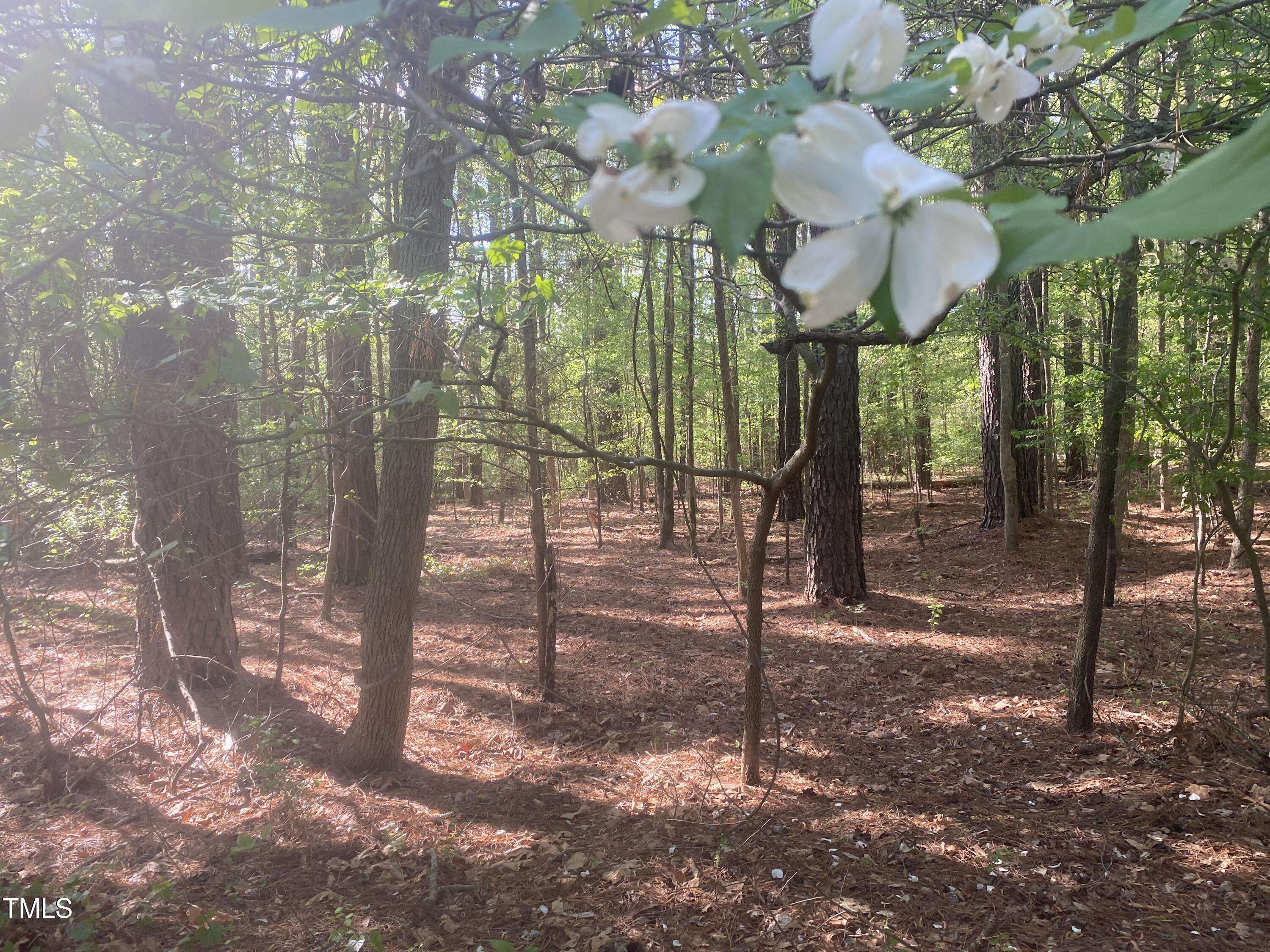 Chapel Hill, NC 27517,236 Curlew Drive