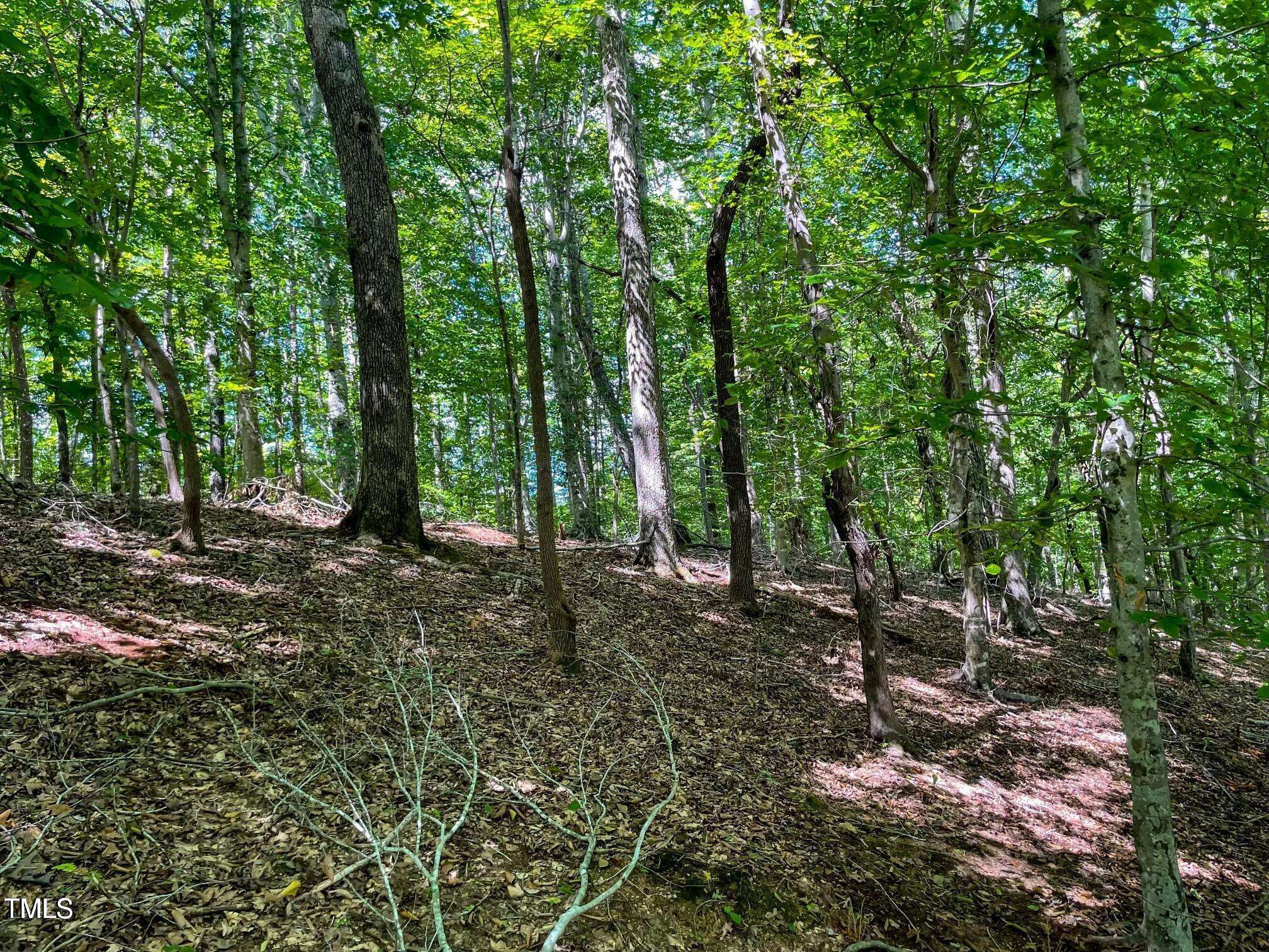 Roxboro, NC 27574,Lot 1 & 2 Stillwater Lane