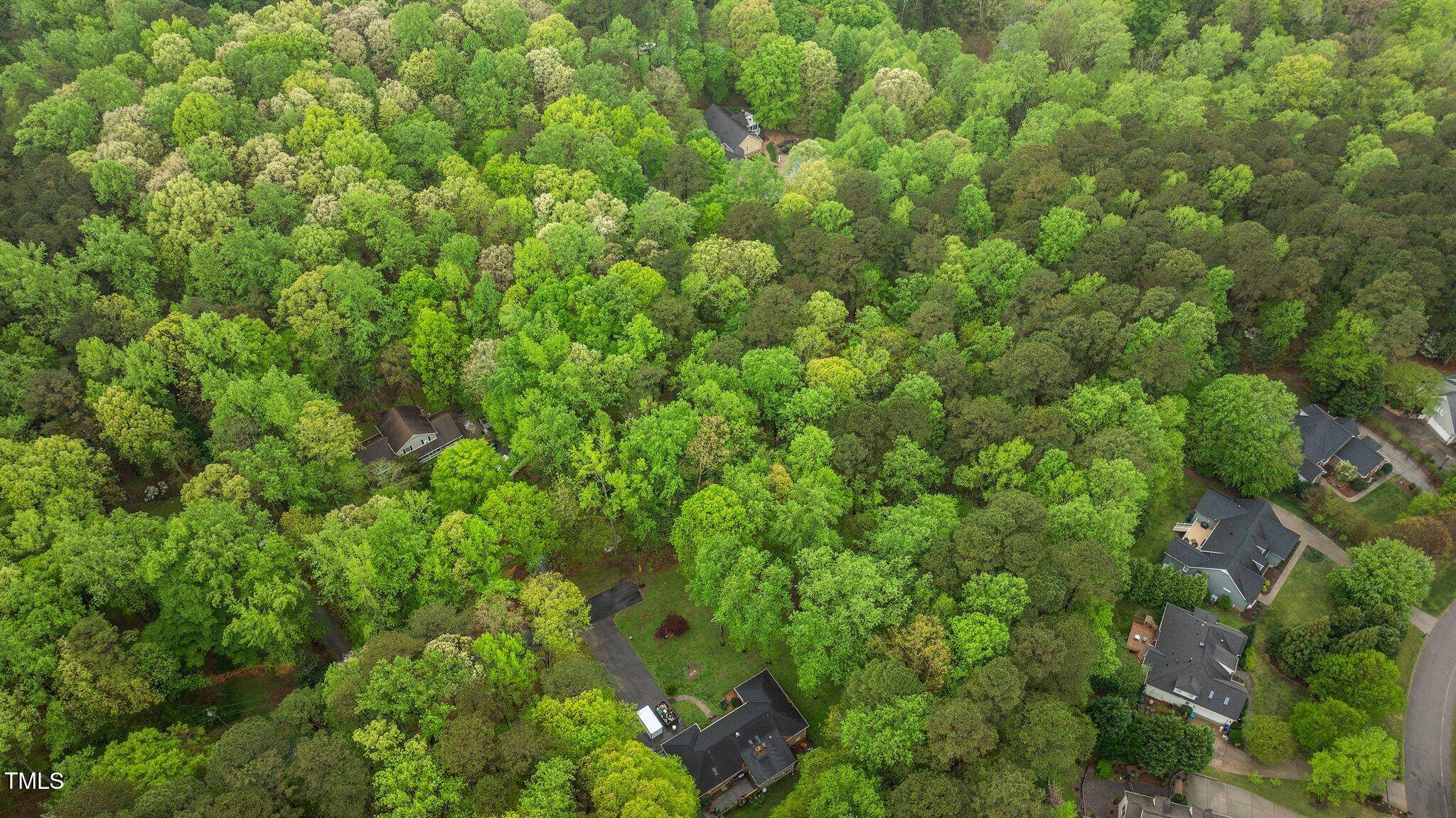 Wake Forest, NC 27587,0 Rabbit Run