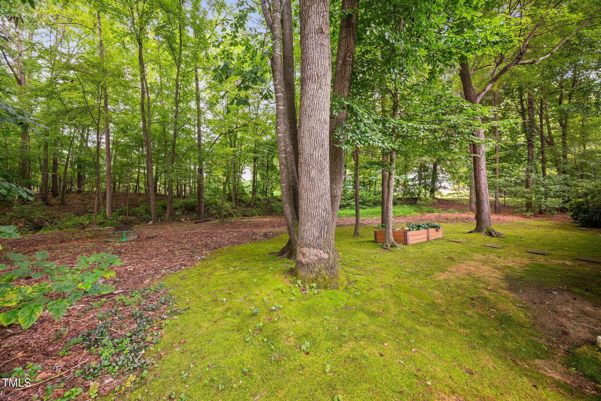 Cary, NC 27511,227 Chimney Rise Drive