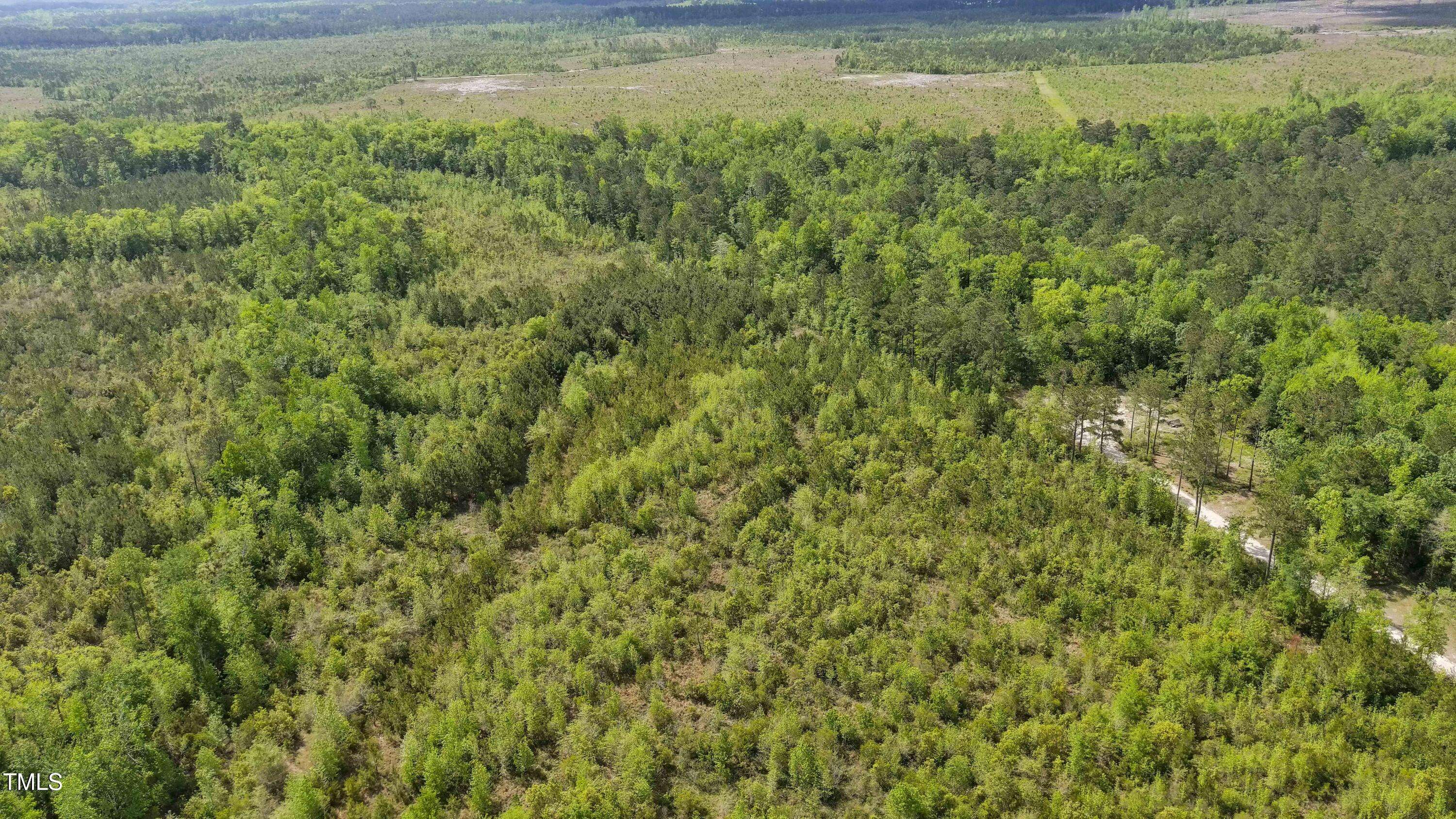 Maple Hill, NC 28454,0 Hardy Graham Road