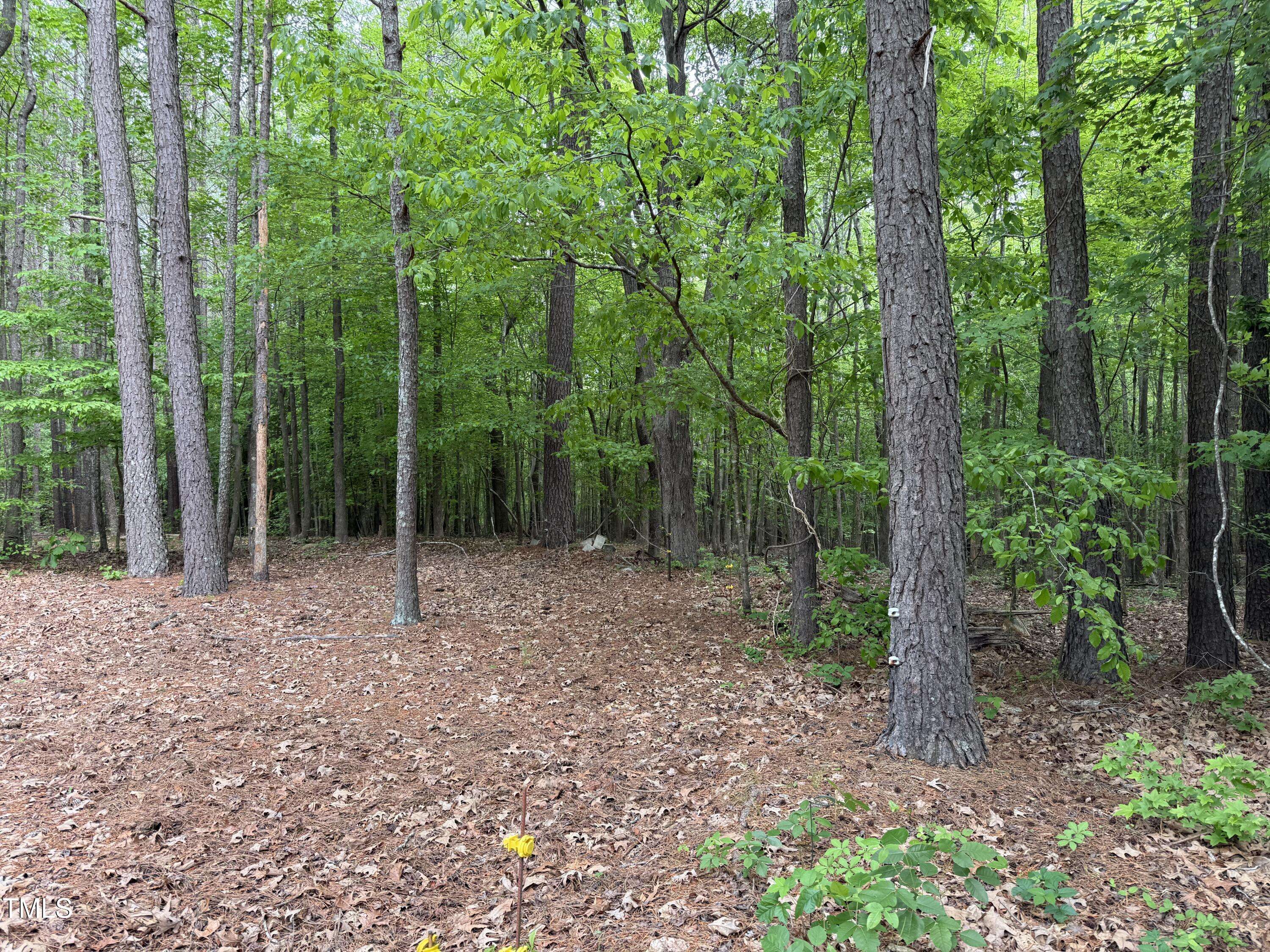 Clayton, NC 27527,1 Rainbow Canyon Road
