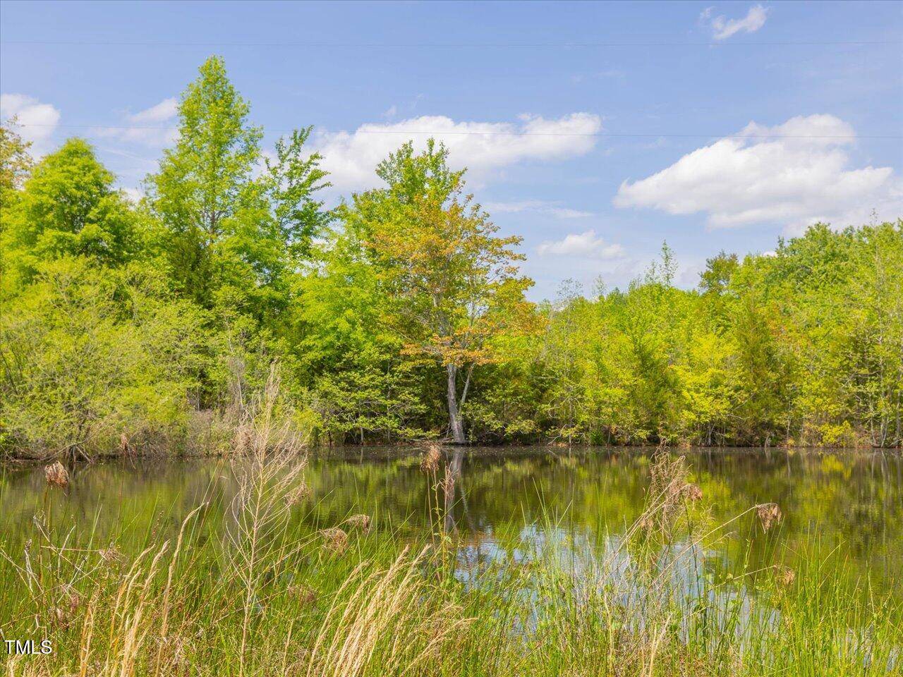 Bear Creek, NC 27207,1604 Bonlee School Road