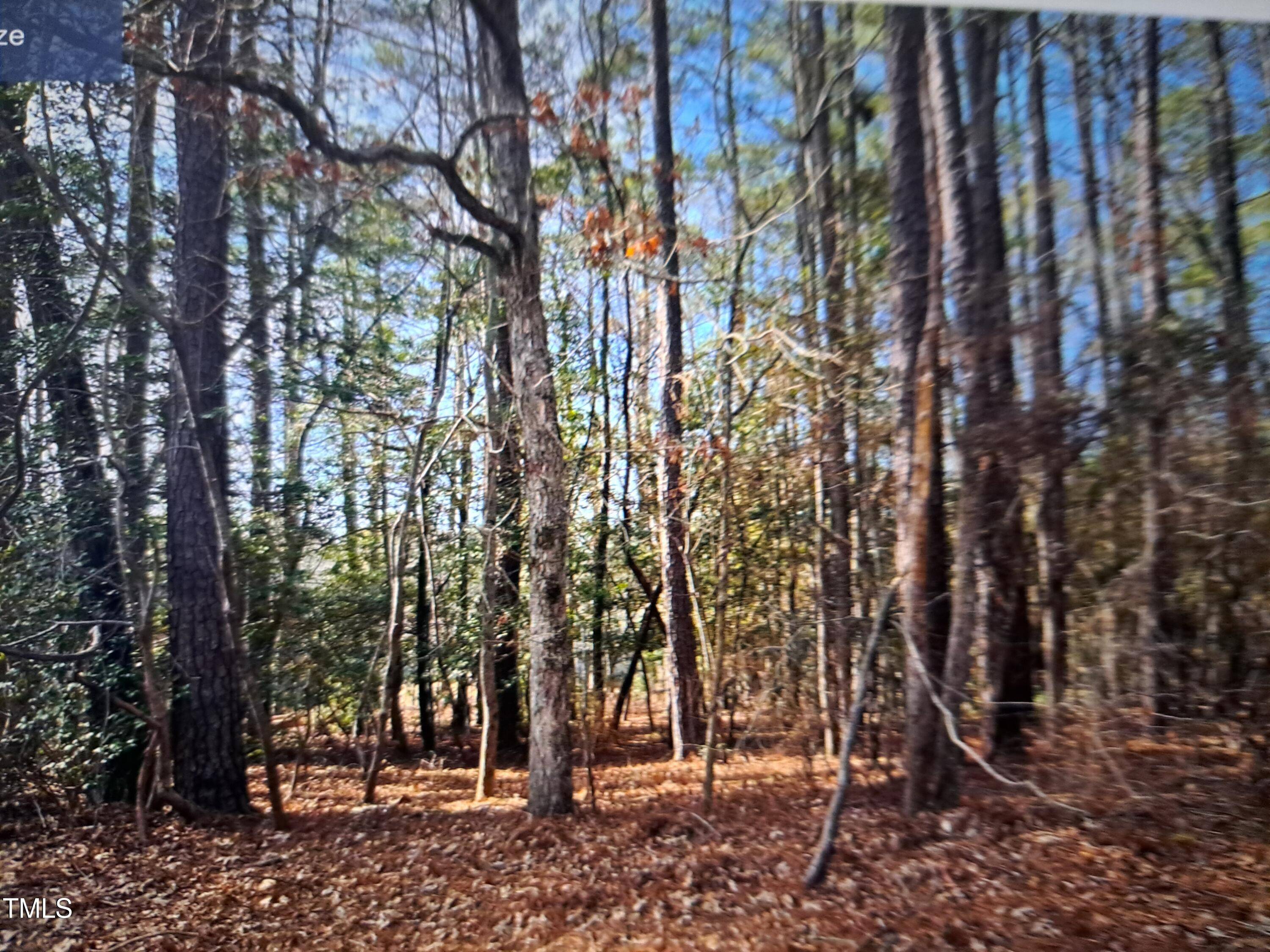Vass, NC 28394,373 Thimbleberry Drive