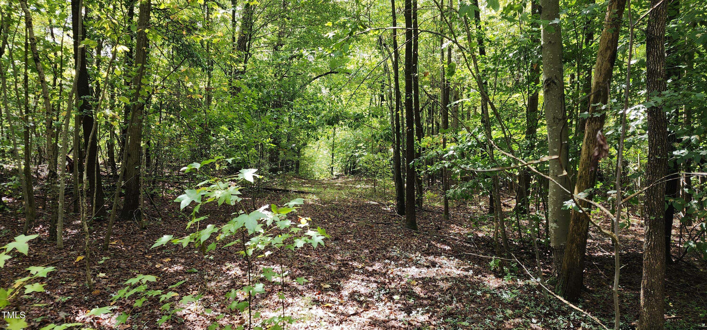 Cedar Grove, NC 27231,Tbd Mill Creek Road