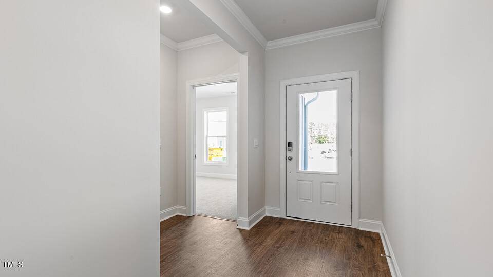 Knightdale, NC 27545,552 Lemon Daisy Lane