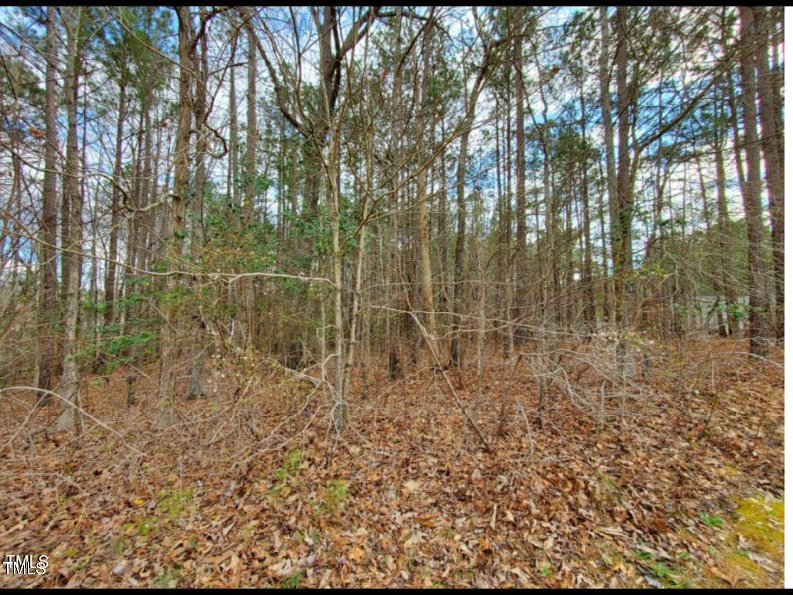 Youngsville, NC 27596,195 Owl Drive