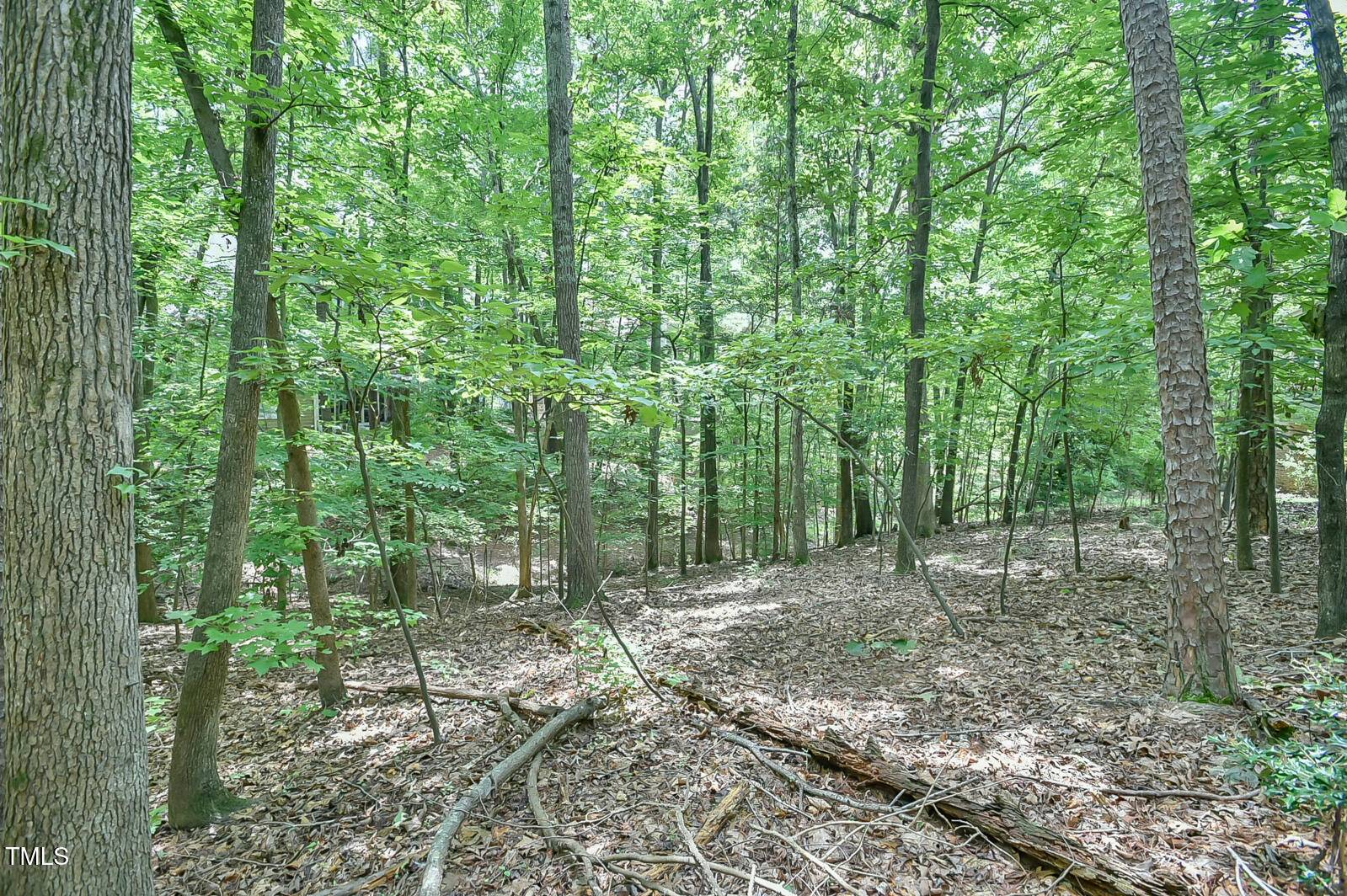 Chapel Hill, NC 27516,105 Oldham Place