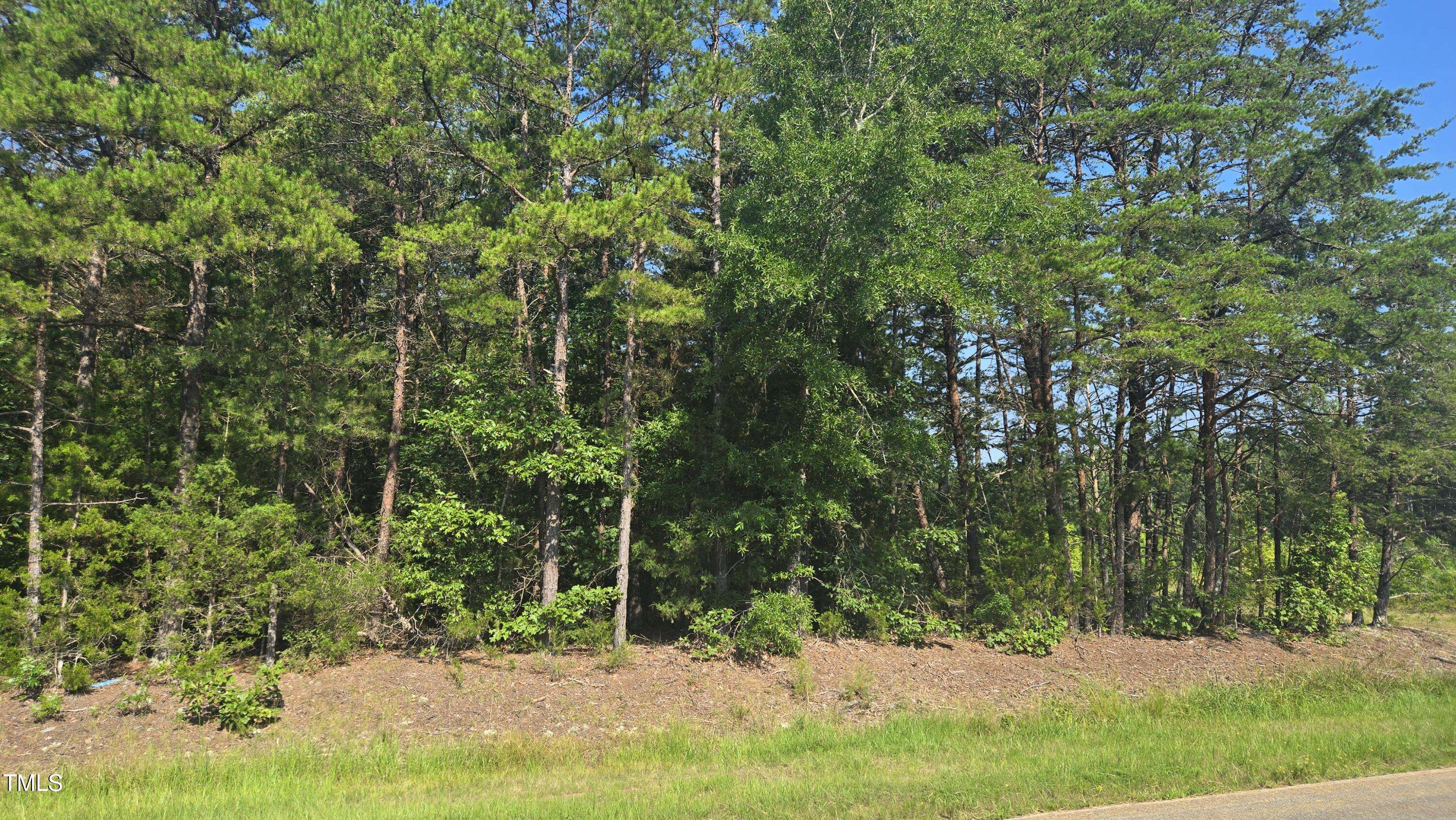 Bullock, NC 27507,00 Robert Morgan Road