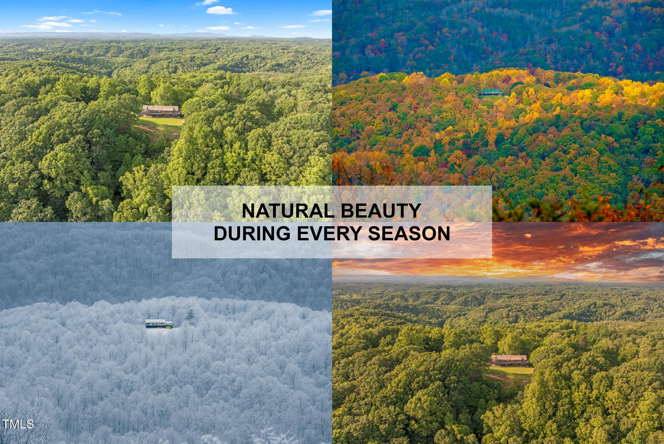 Danbury, NC 27016,1215 Single Tree Road