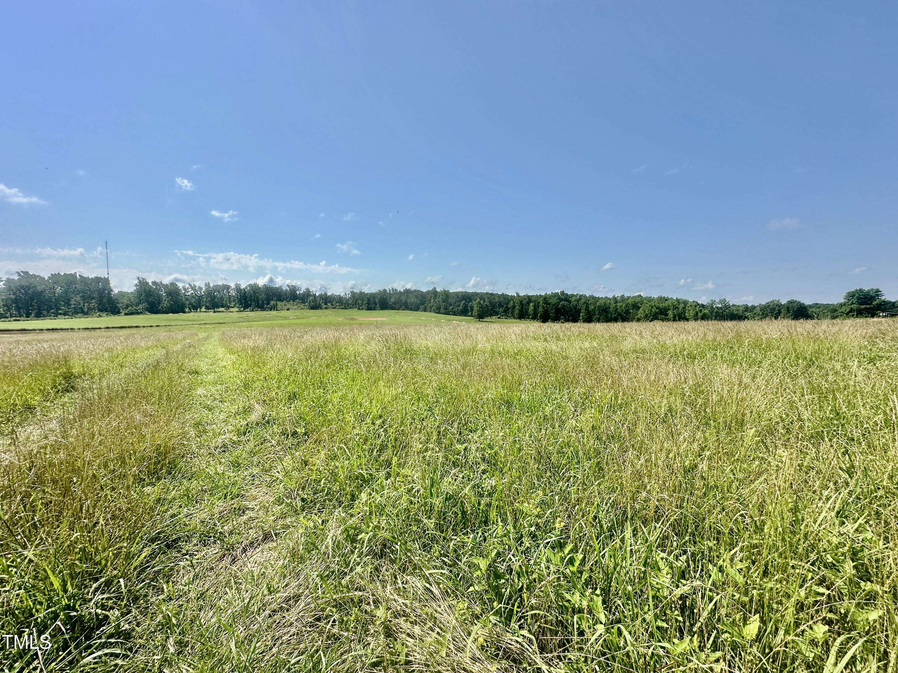 Hurdle Mills, NC 27541,Lot 1 Jones Road