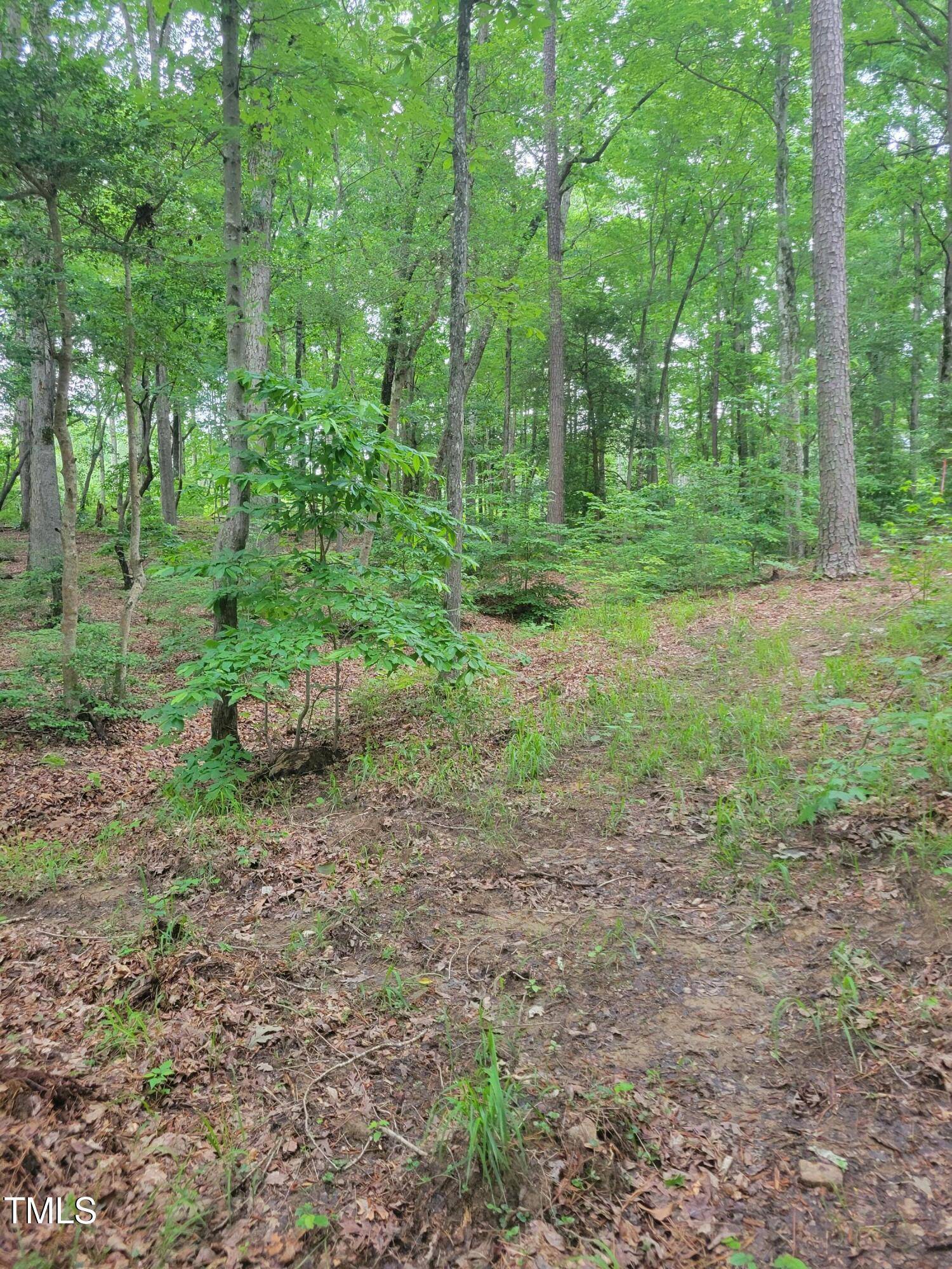 Macon, NC 27551,Lot 23 Sail View Lane