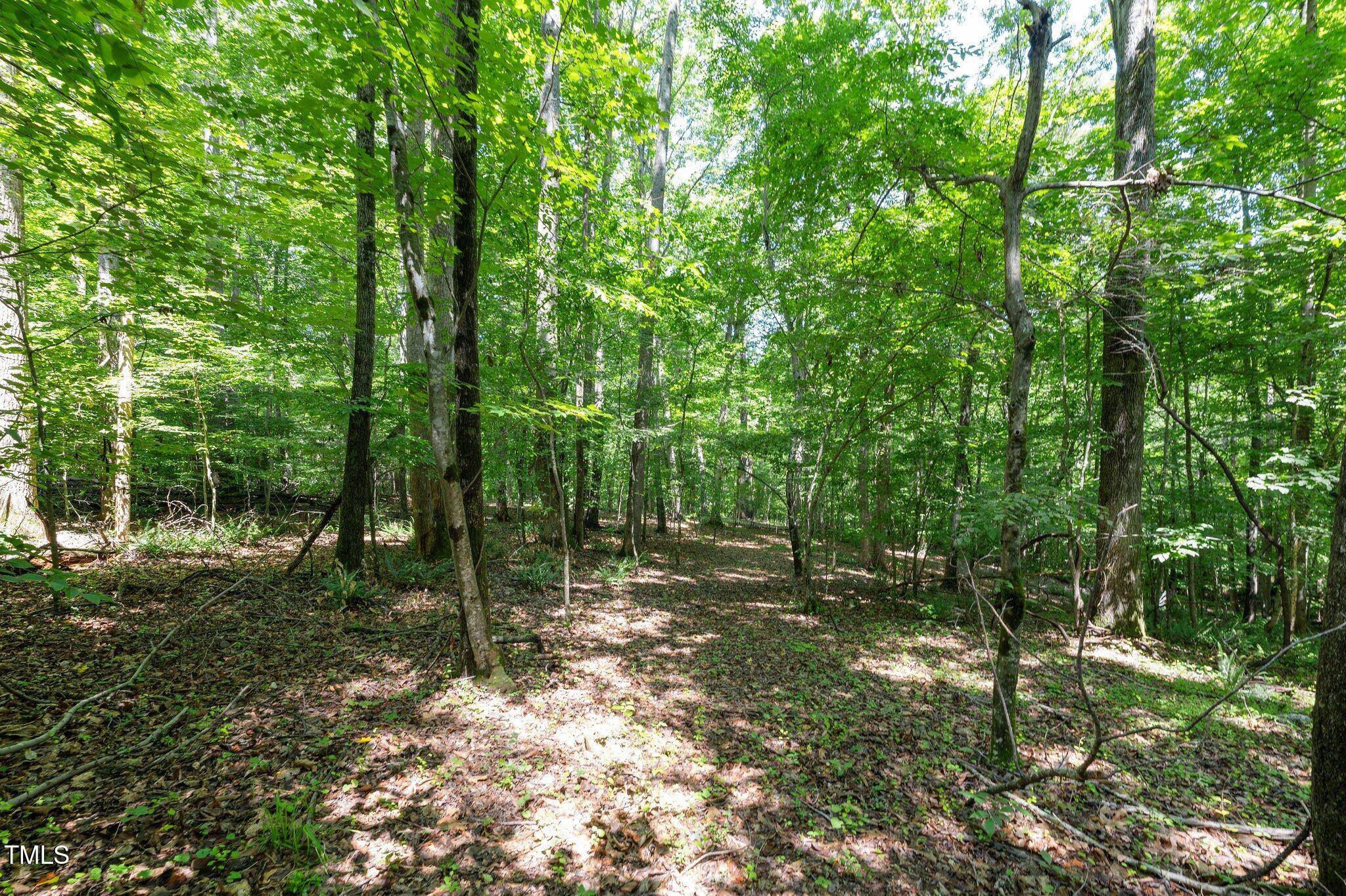 Whitsett, NC 27377,6910 Long Meadow Lane
