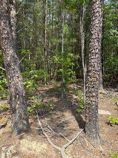 Roxboro, NC 27574,A67 1 Bowmanton Rd Road