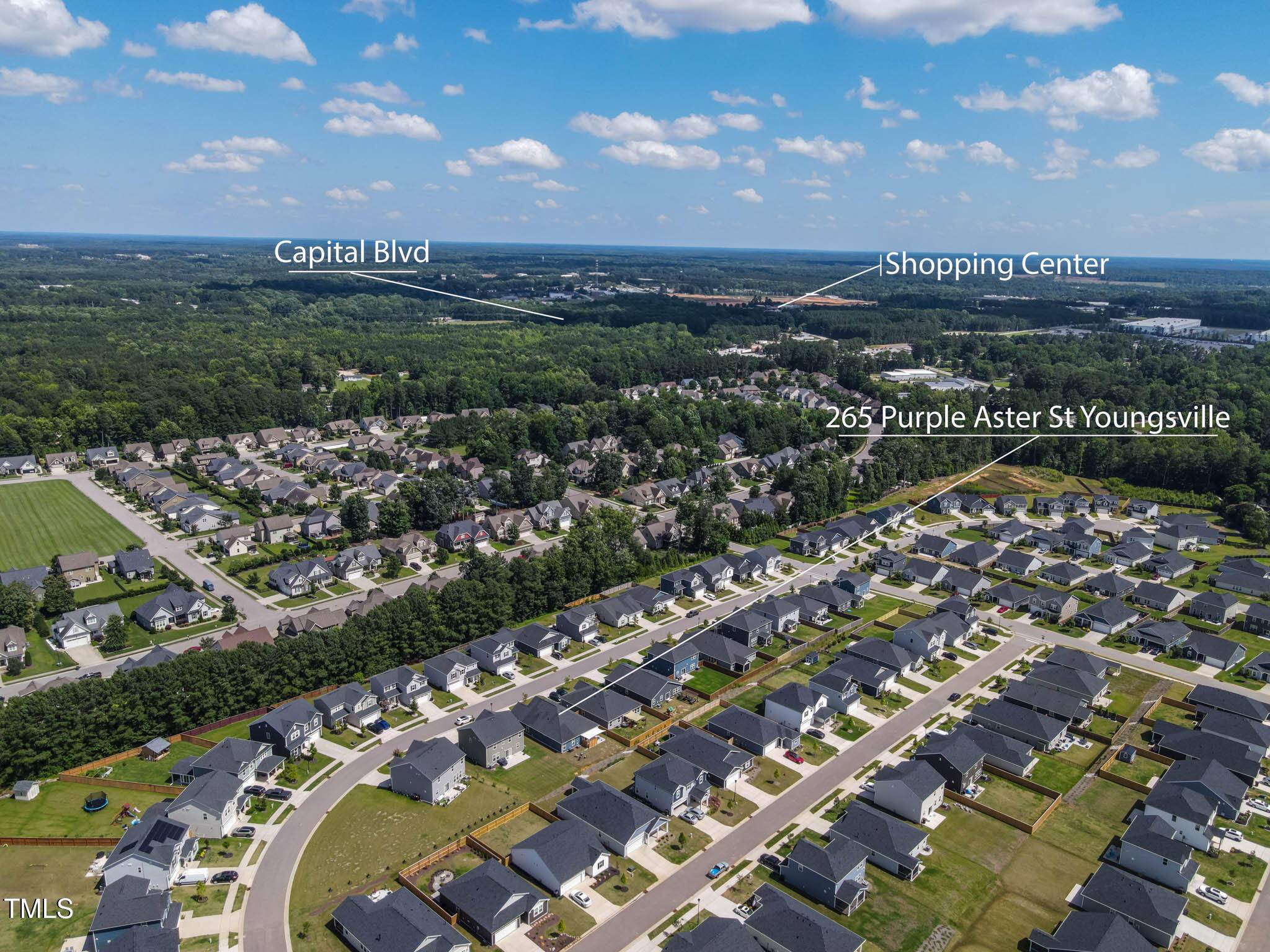 Youngsville, NC 27596,265 Purple Aster Street