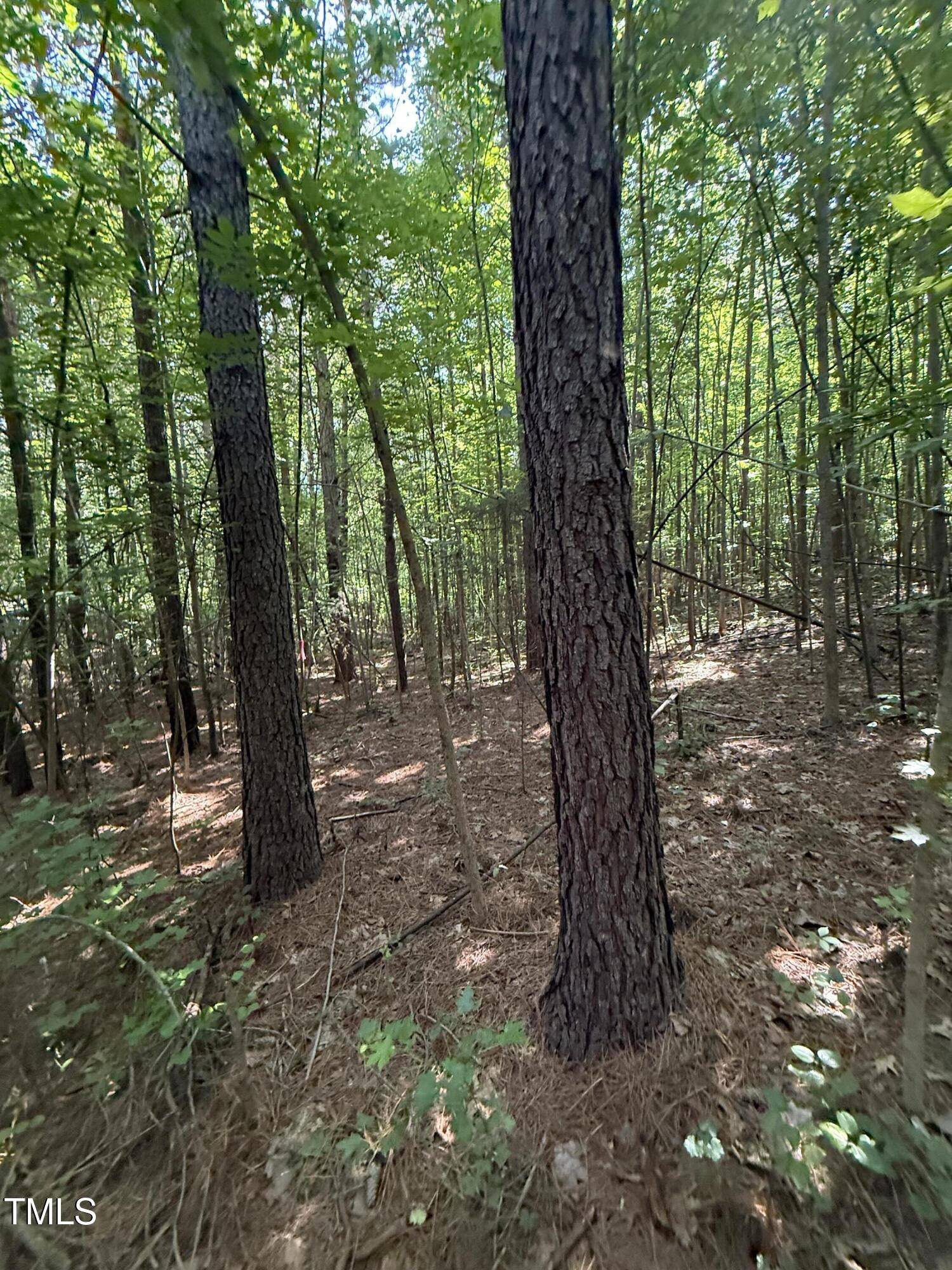 Moncure, NC 27559,190 Louise Jenkins Road