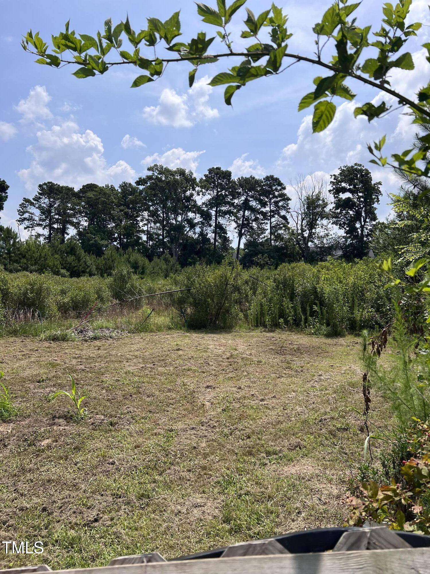 Cary, NC 27513,1624 Wilson Road