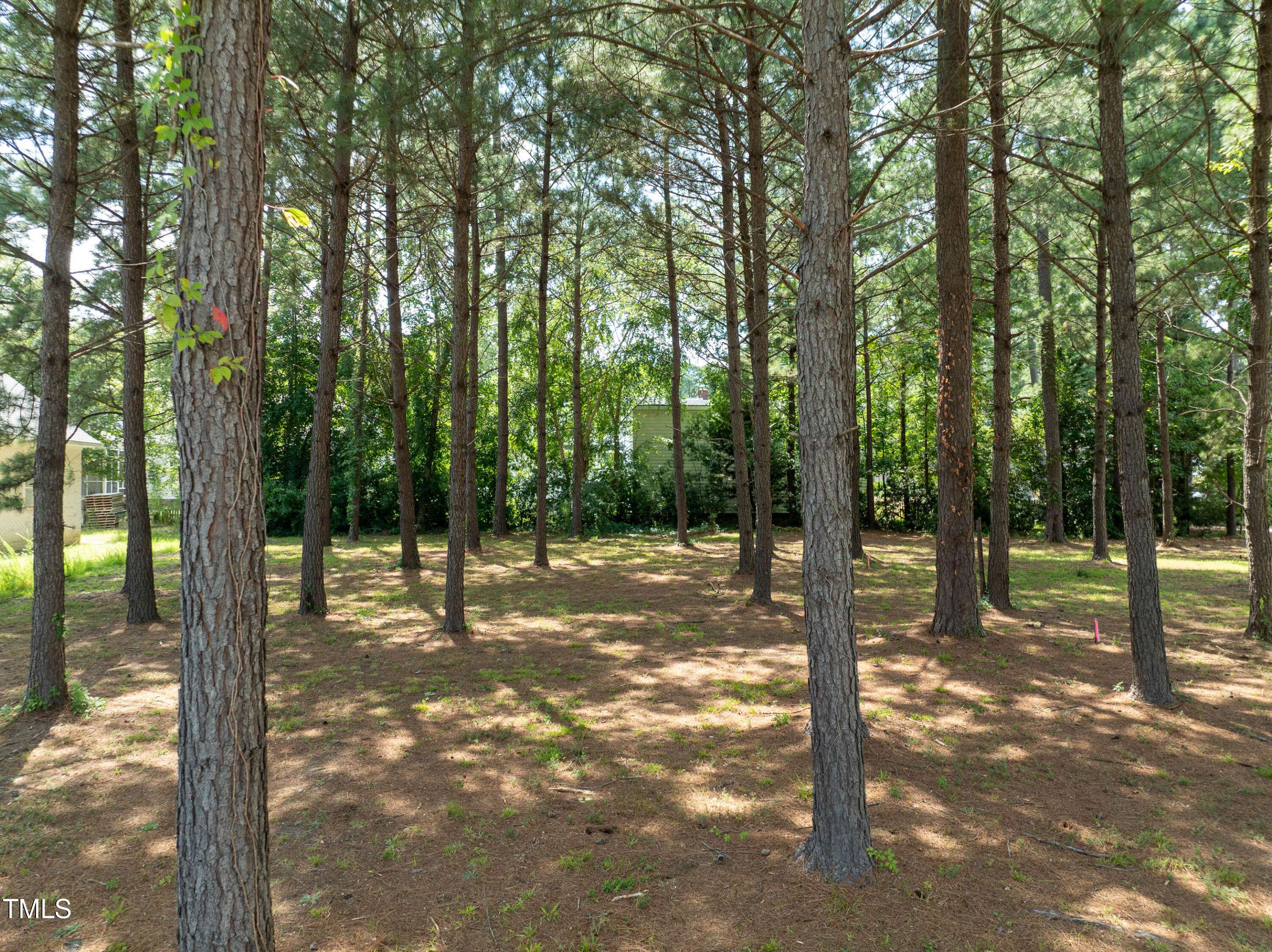 Wilson, NC 27893,1124 Azalea Lane