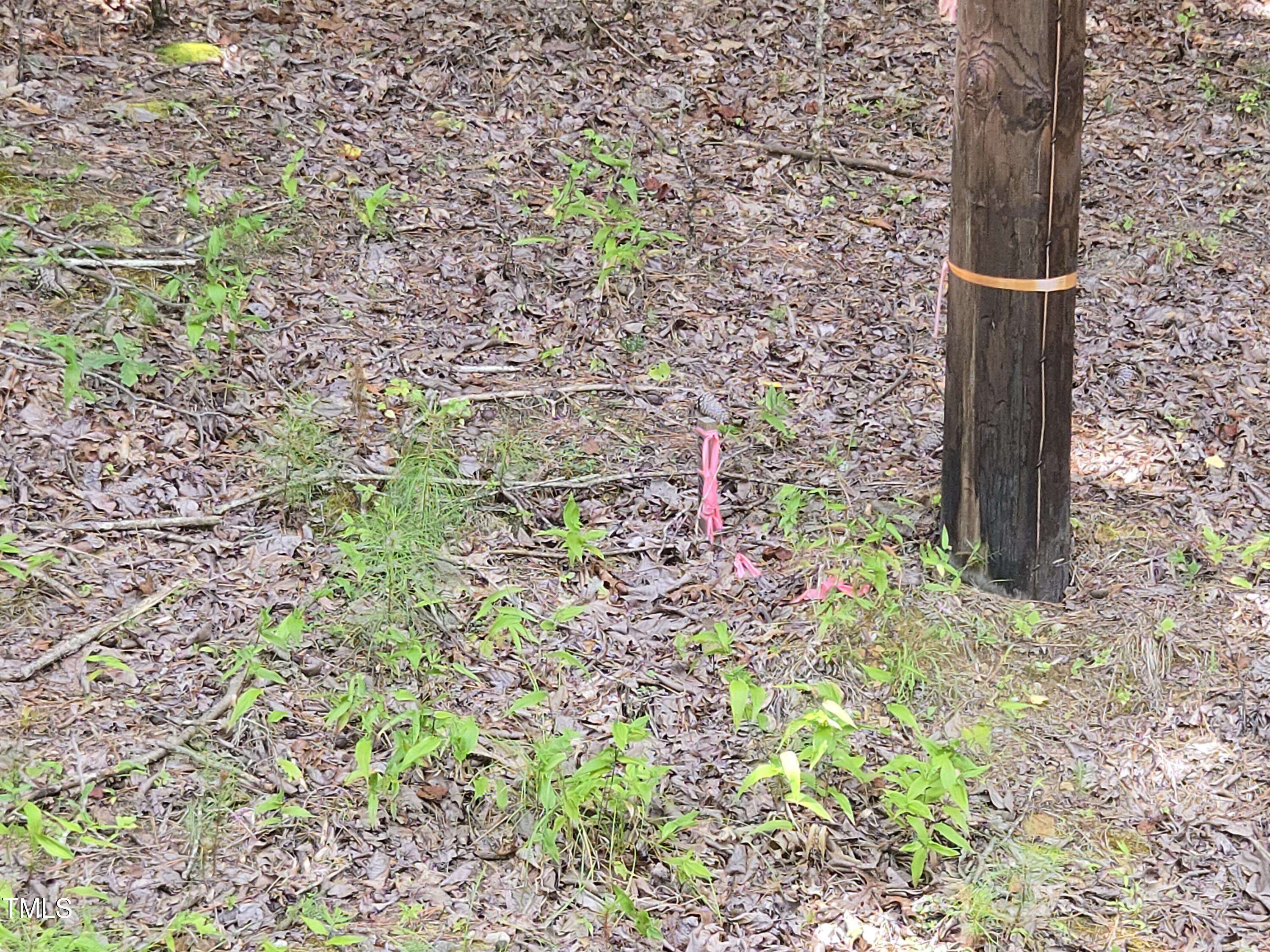 Louisburg, NC 27549,116 Navajo Drive