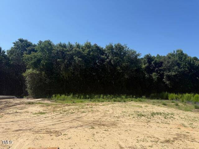Benson, NC 27504,130 Surles Landing Way