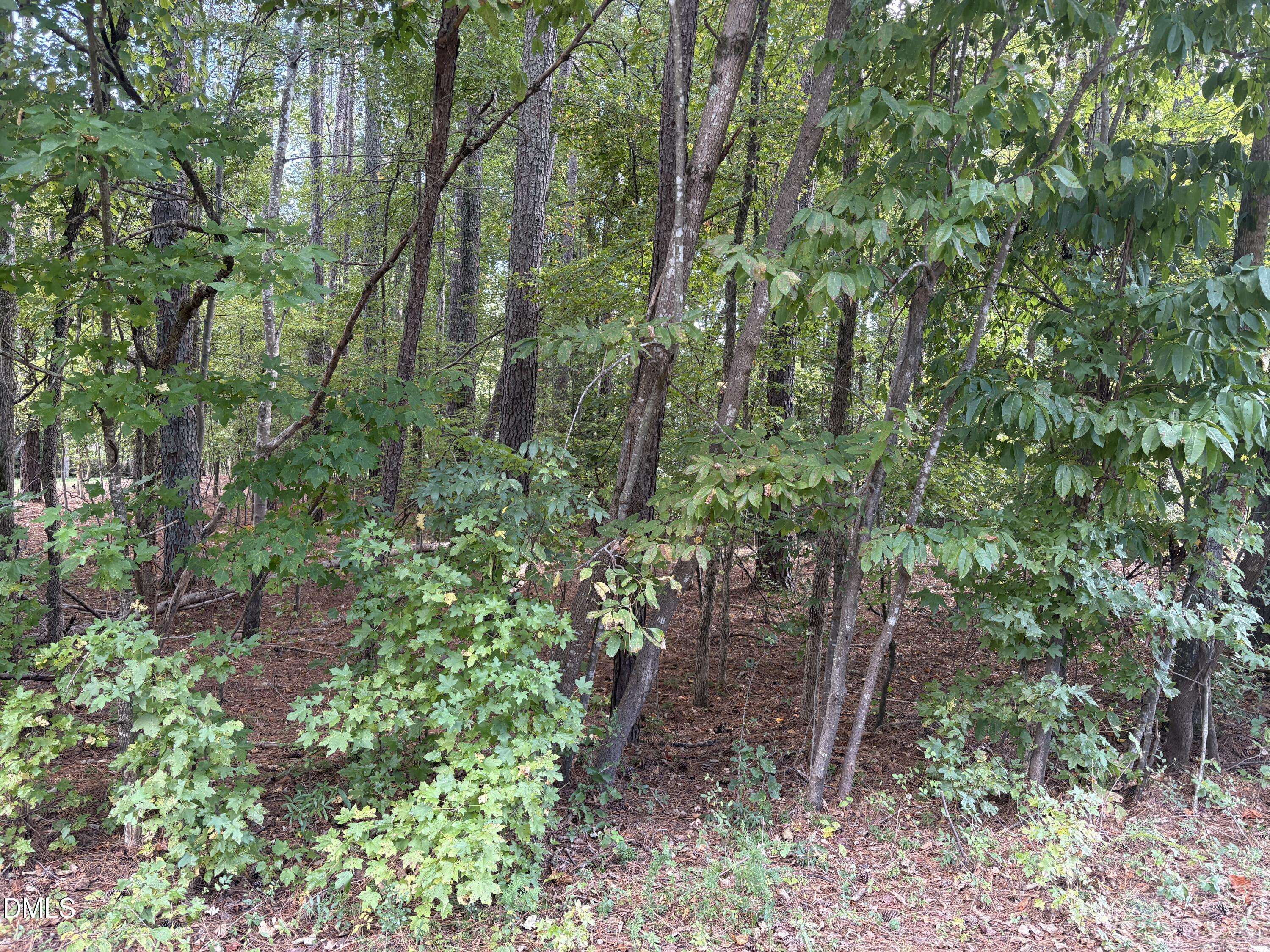 Louisburg, NC 27549,131 Clear Water Road