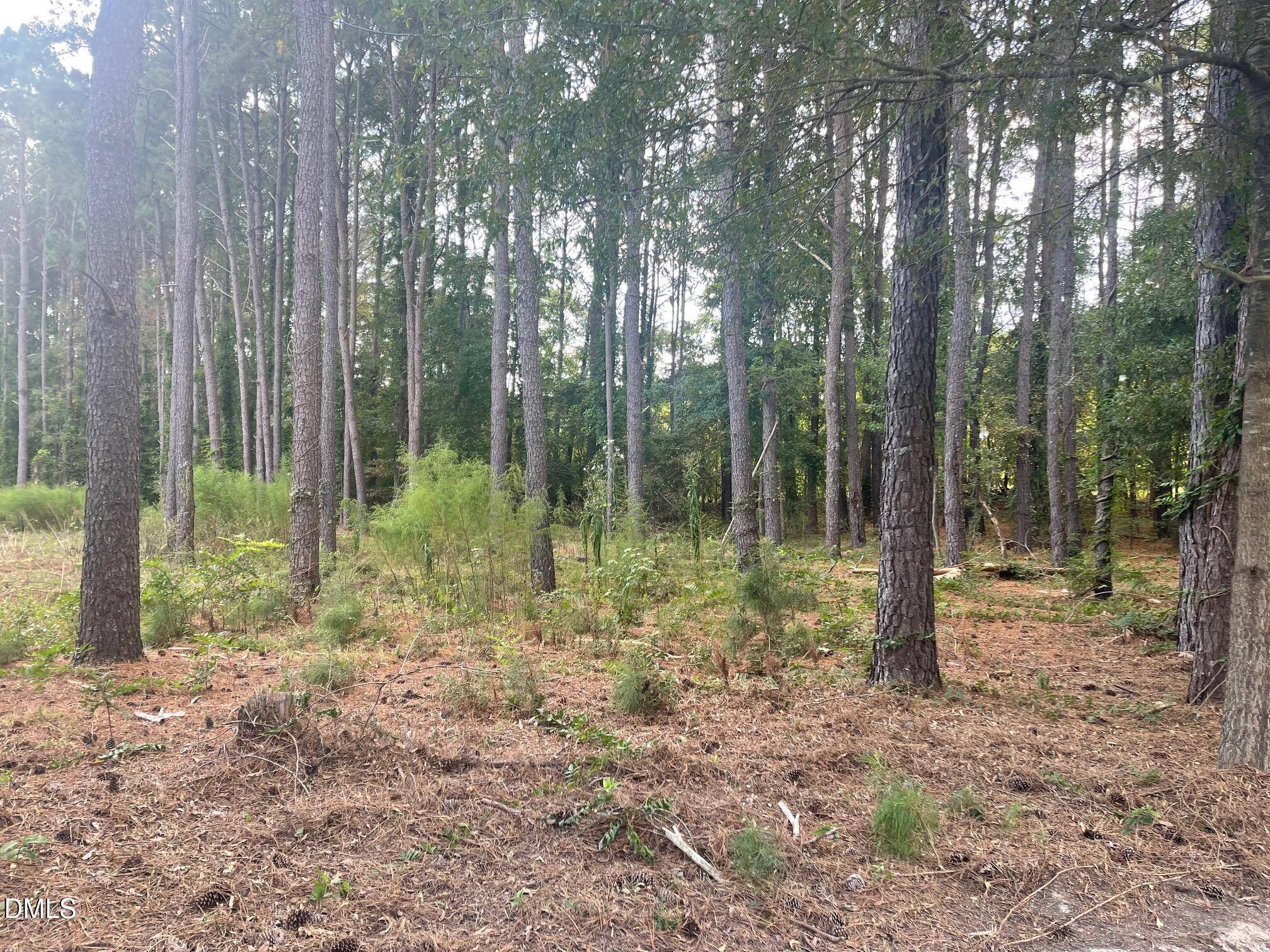 Willow Springs, NC 27592,2313 Rigney Court