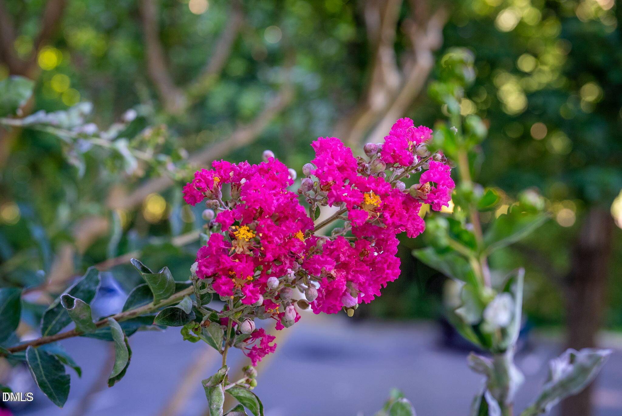 Chapel Hill, NC 27514,117 Scott Lane