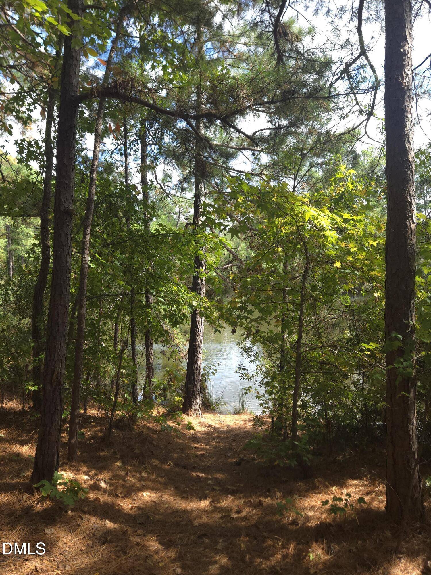 Durham, NC 27703,1607 Eagle Lodge Lane