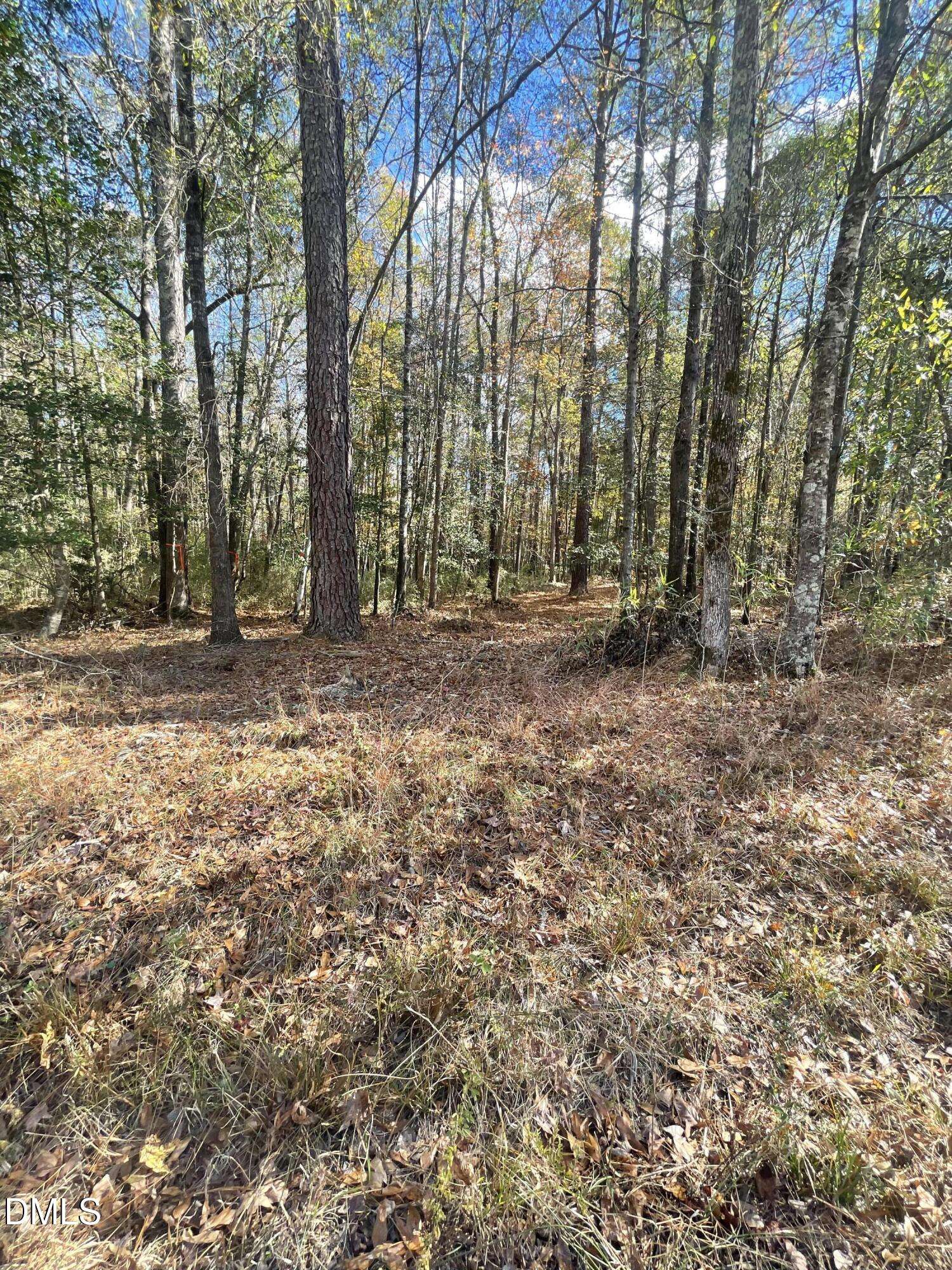 Lillington, NC 27546,0 E Mcneill Street