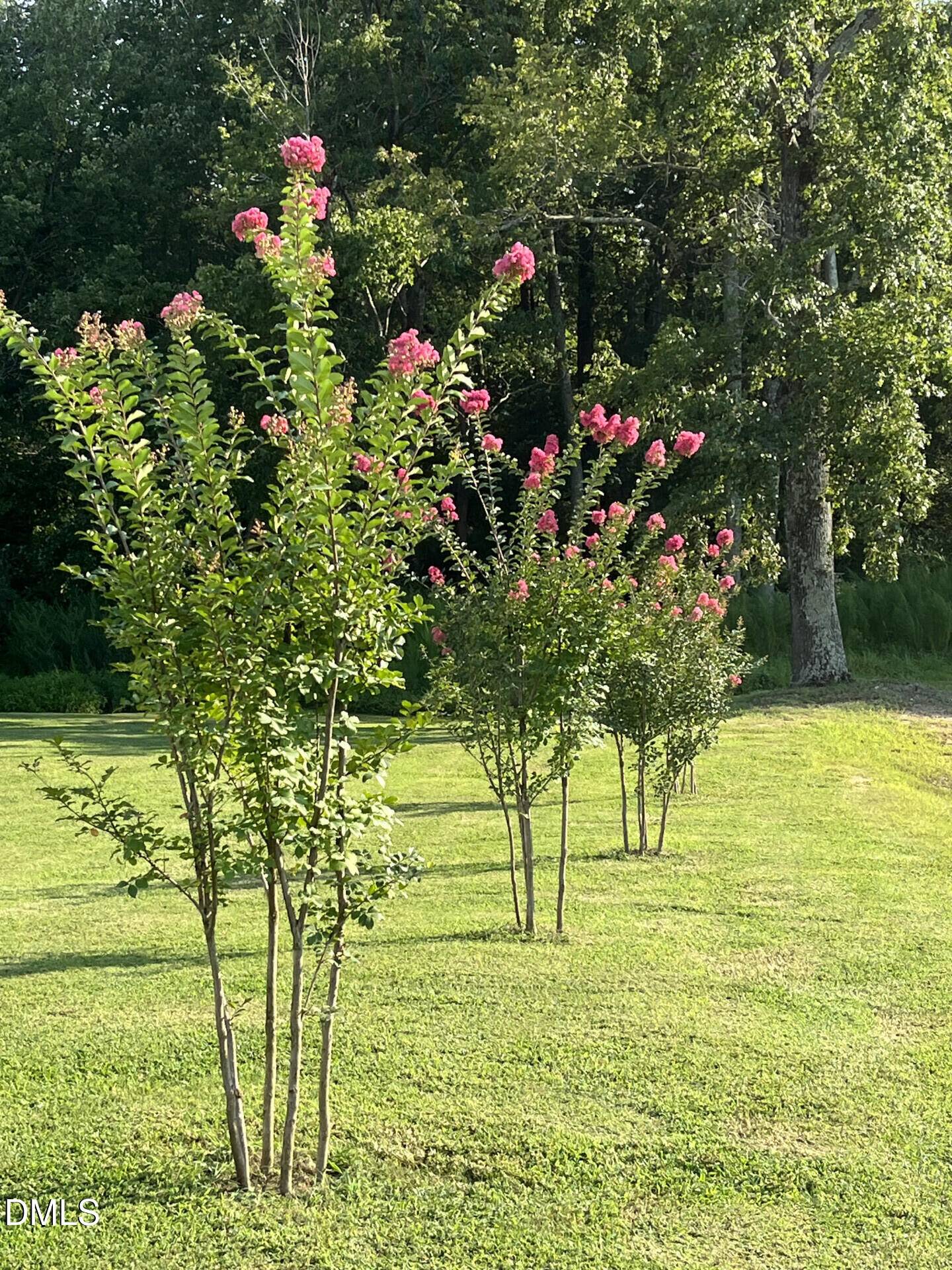 Smithfield, NC 27577,177 Ruskin Drive