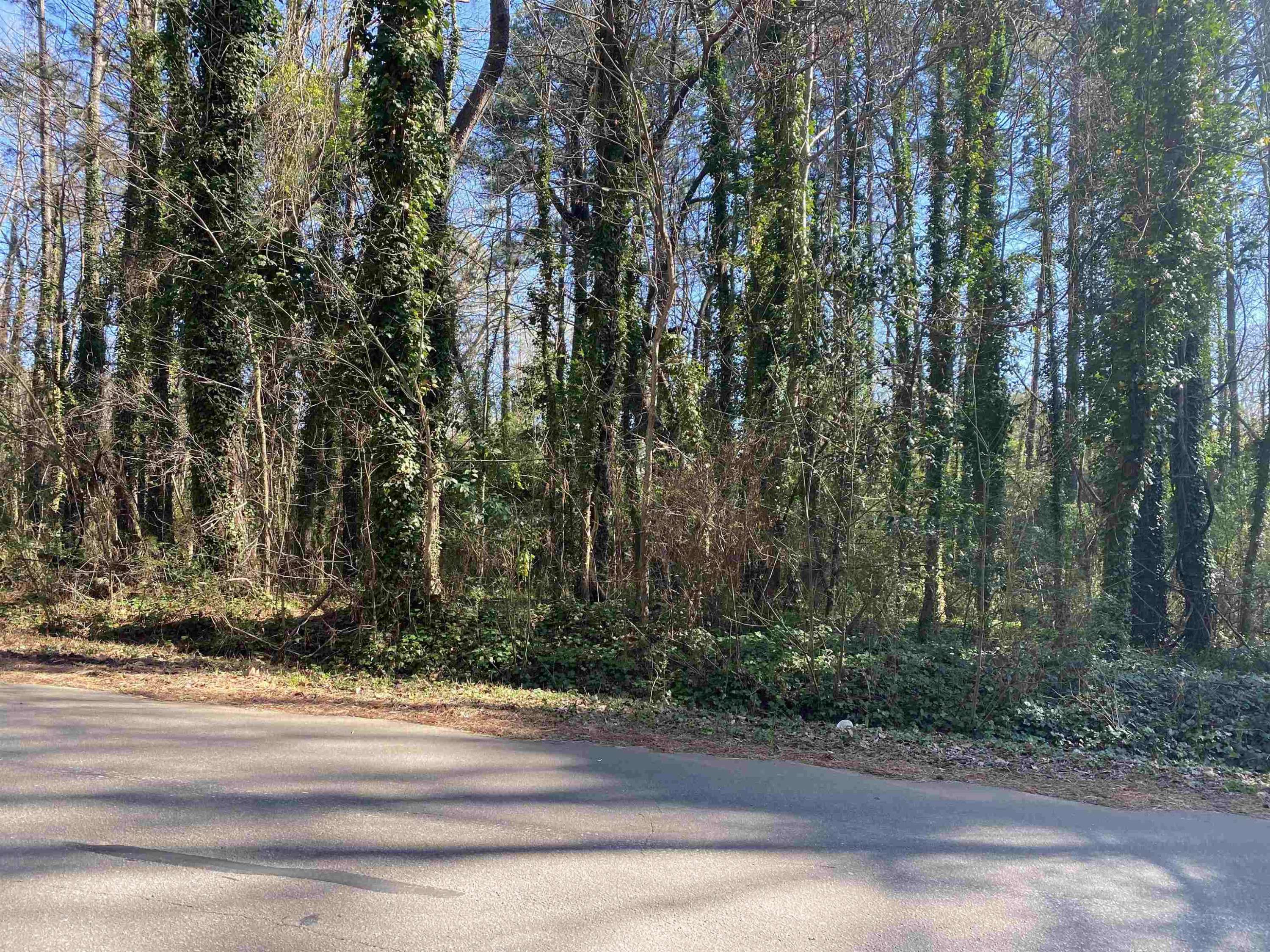 Sanford, NC 27330,0 North Avenue