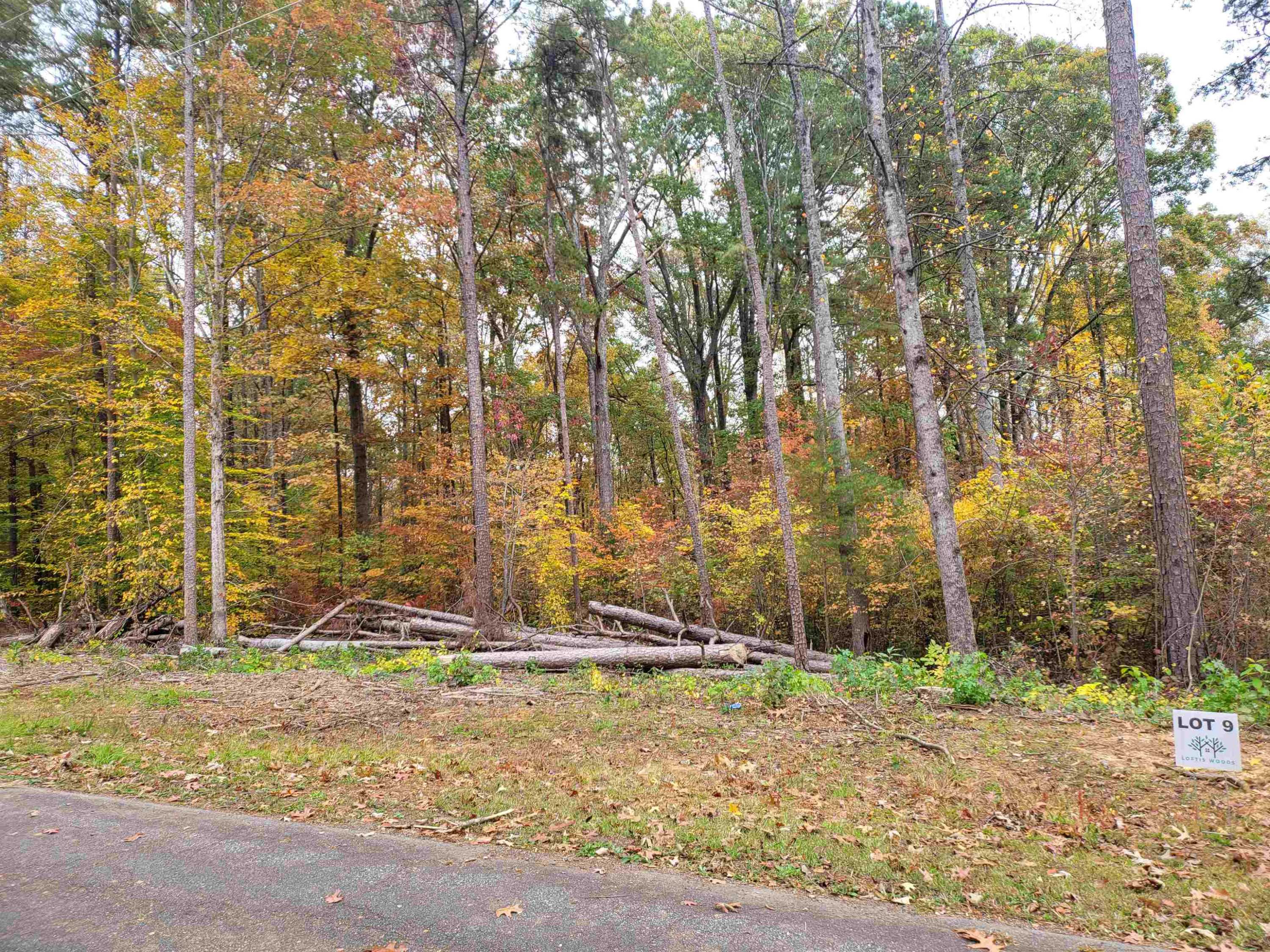 Roxboro, NC 27574,Lot 9 Loftis Loop Road