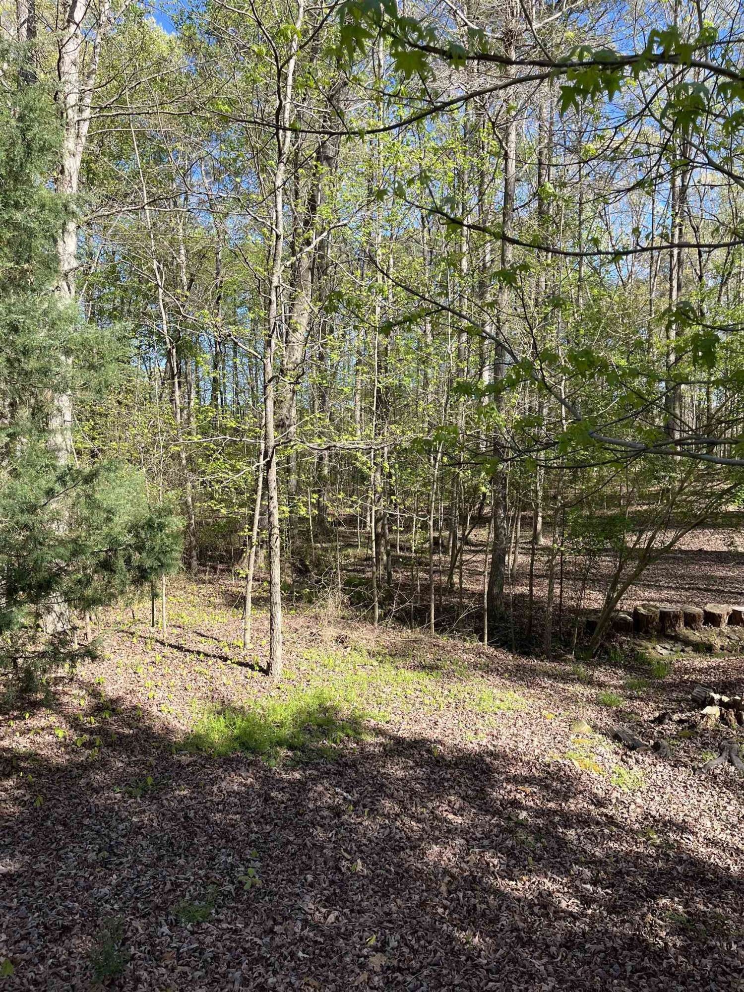 Apex, NC 27539,4121 Maple Bottom Drive