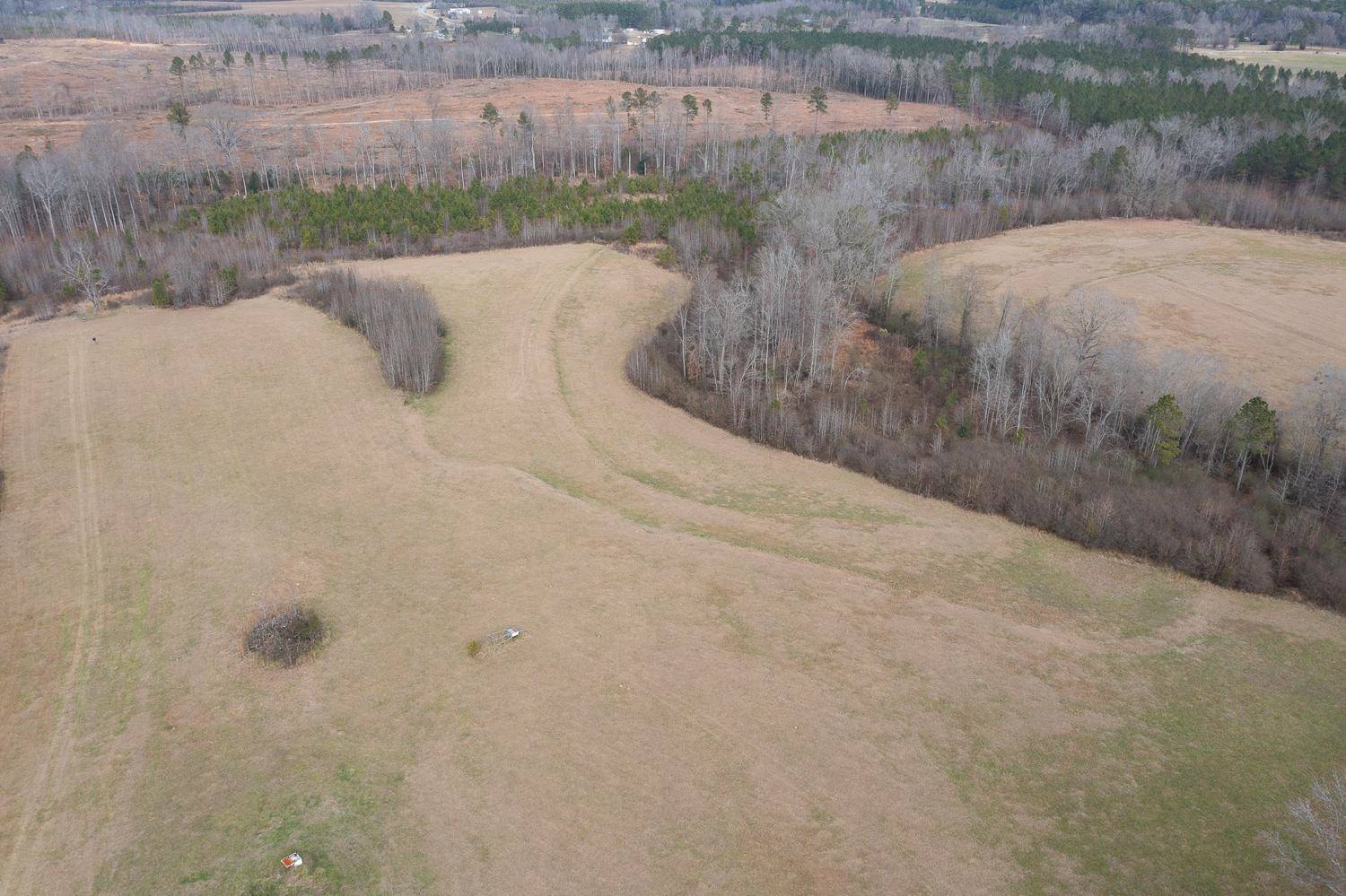 Whitakers, NC 27891,93 acres Crooked Swamp Road