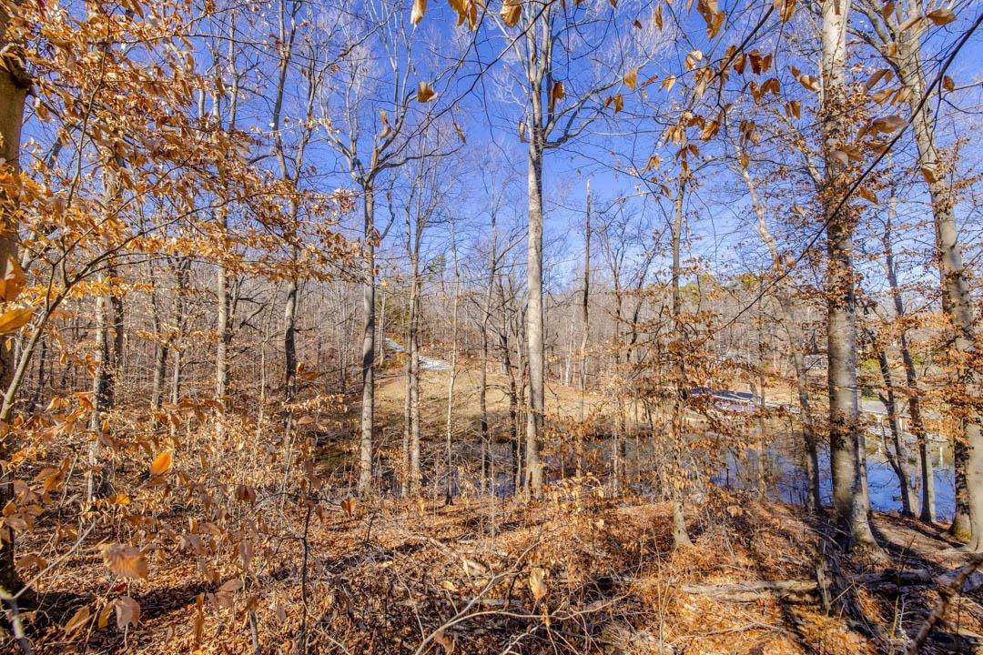 Leasburg, NC 27291,Lot #6 Deer Meadow Road