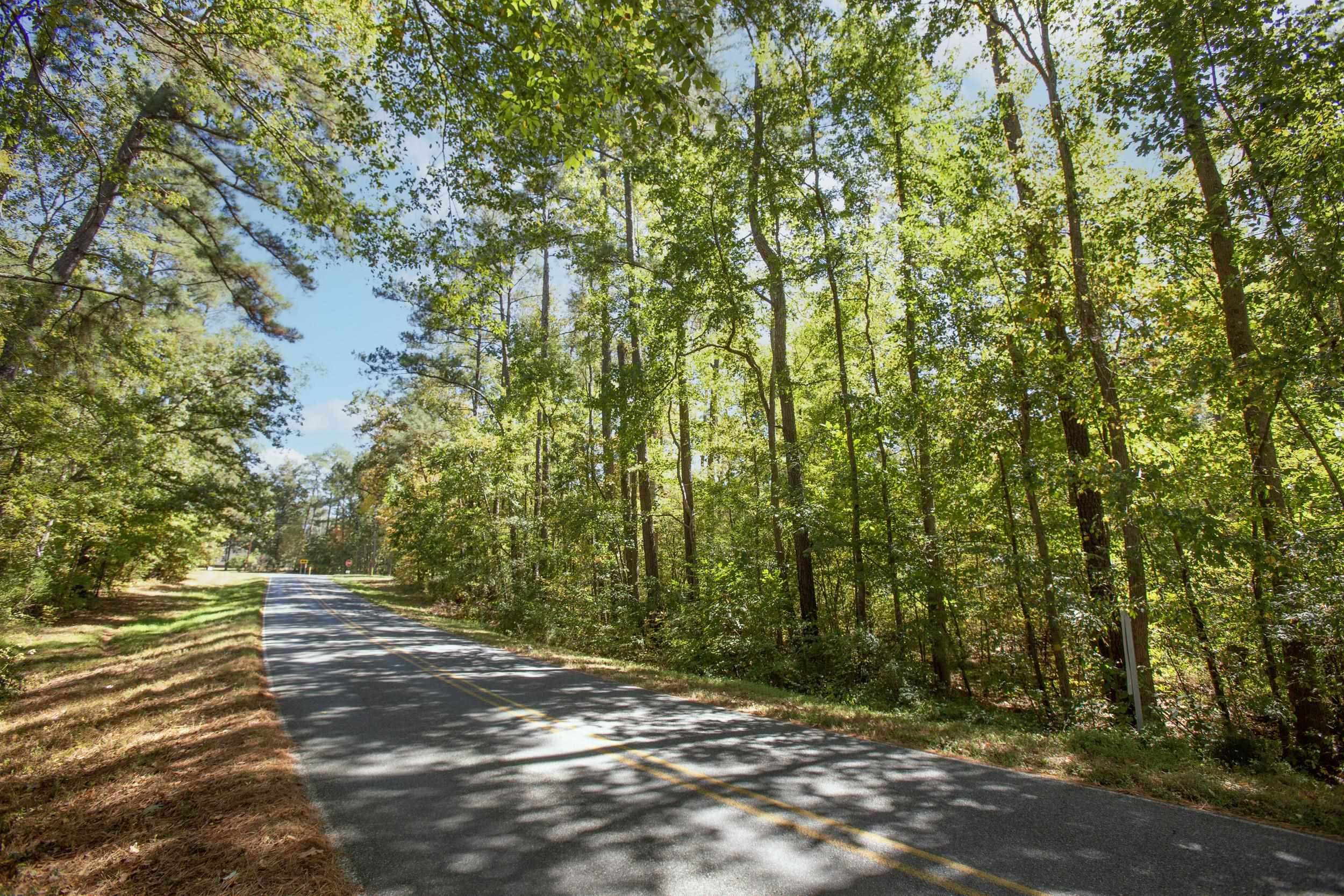 Sanford, NC 27330,Lot 1 Walter Bright Road